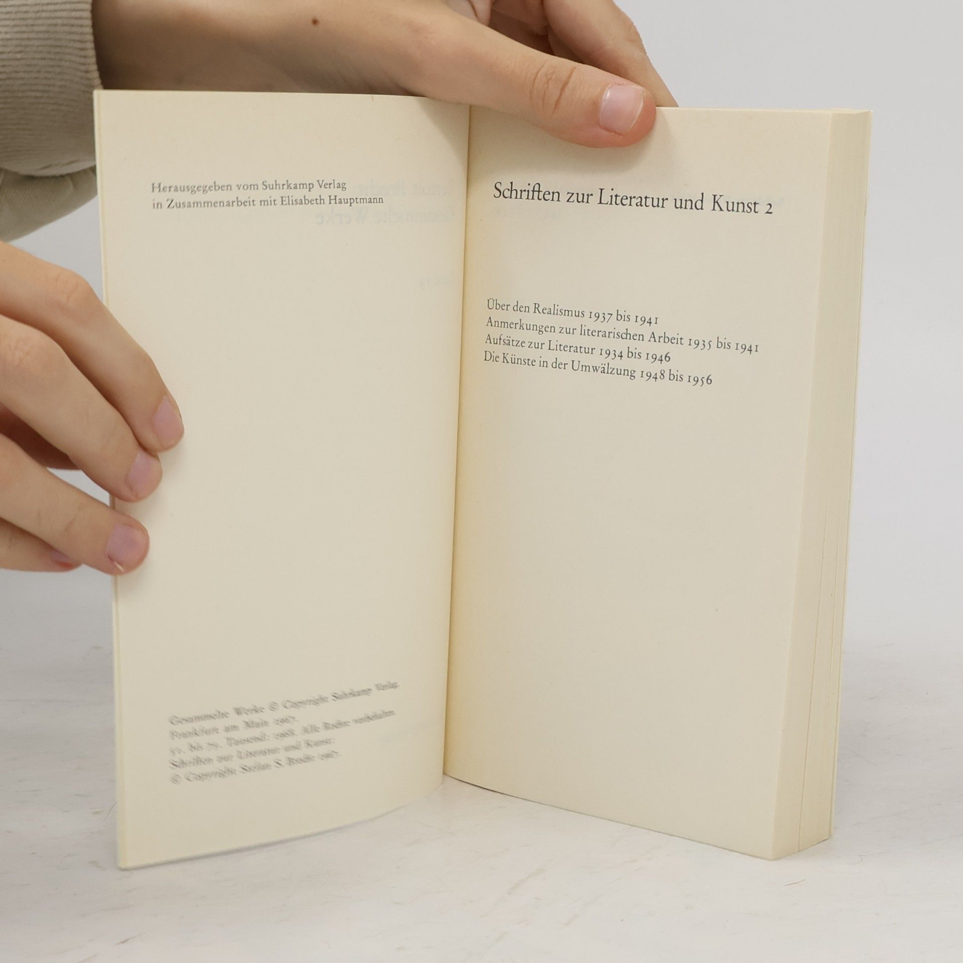Bertolt Brecht Gesammelte Werke 19. Schriften zur Literatur und Kunst 2