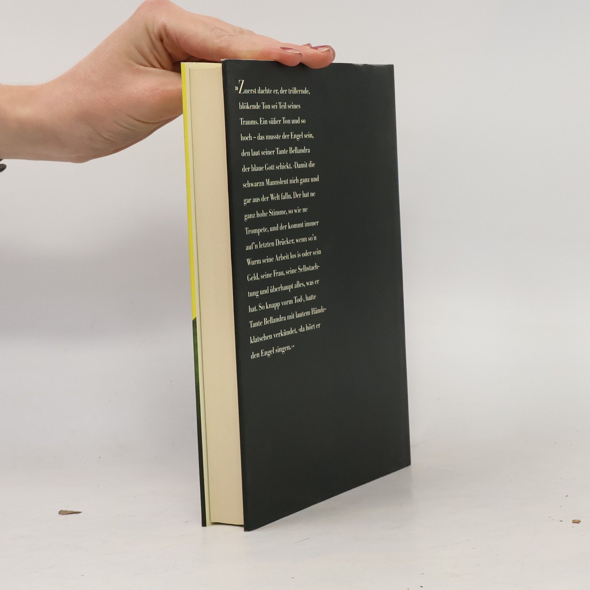 Walter Mosley Socrates' Welt