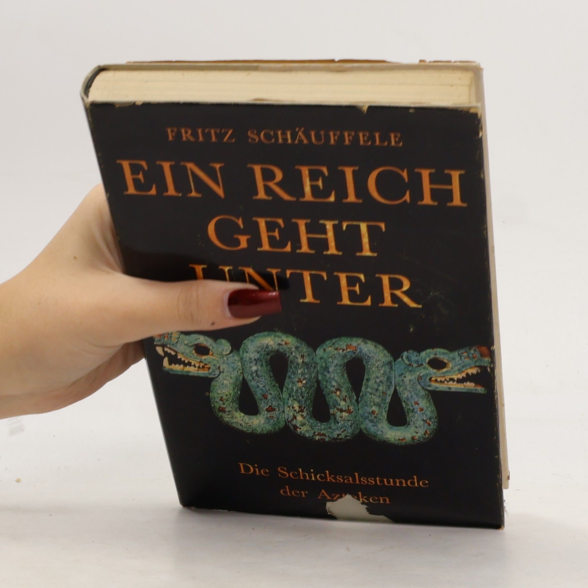 Fritz Schäuffele Ein Reich geht unter