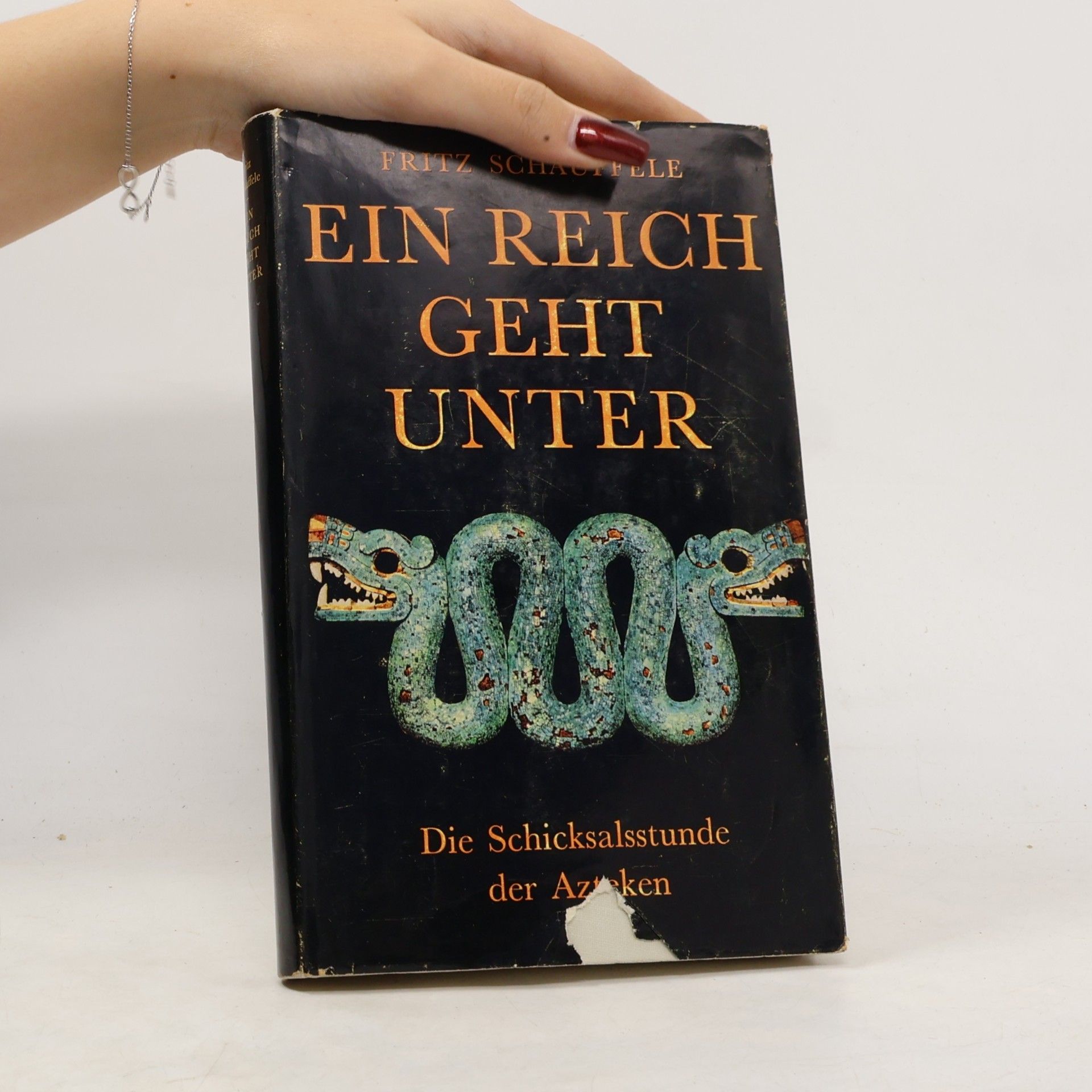 Fritz Schäuffele Ein Reich geht unter