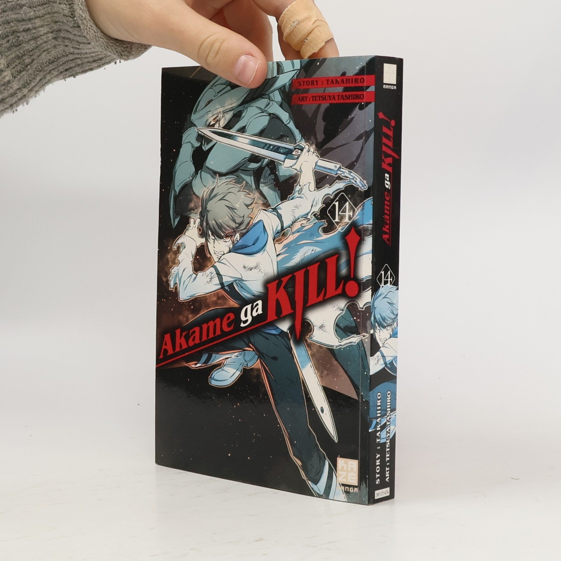 Akame ga kill! 14