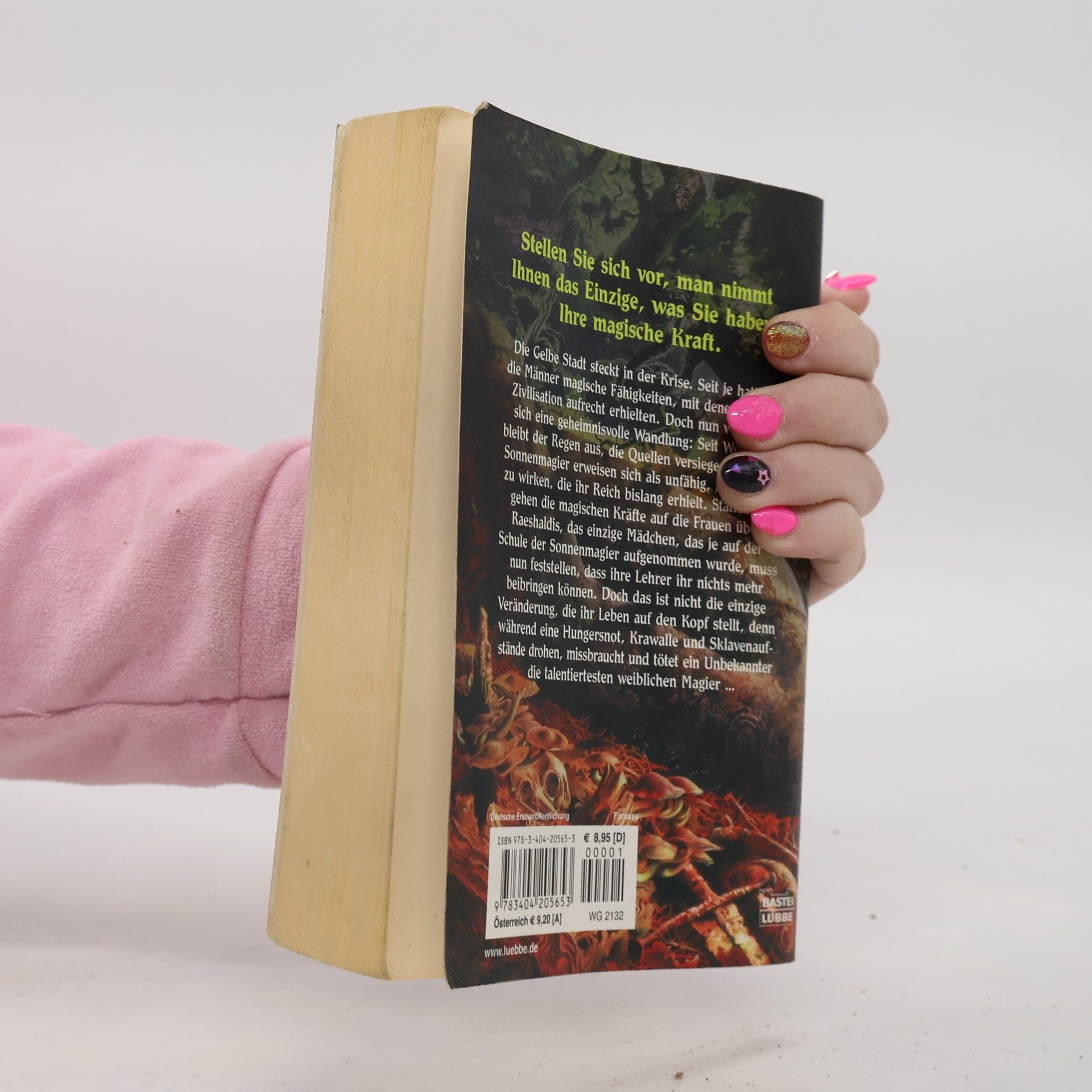 Barbara Hambly Schwestern des Raben