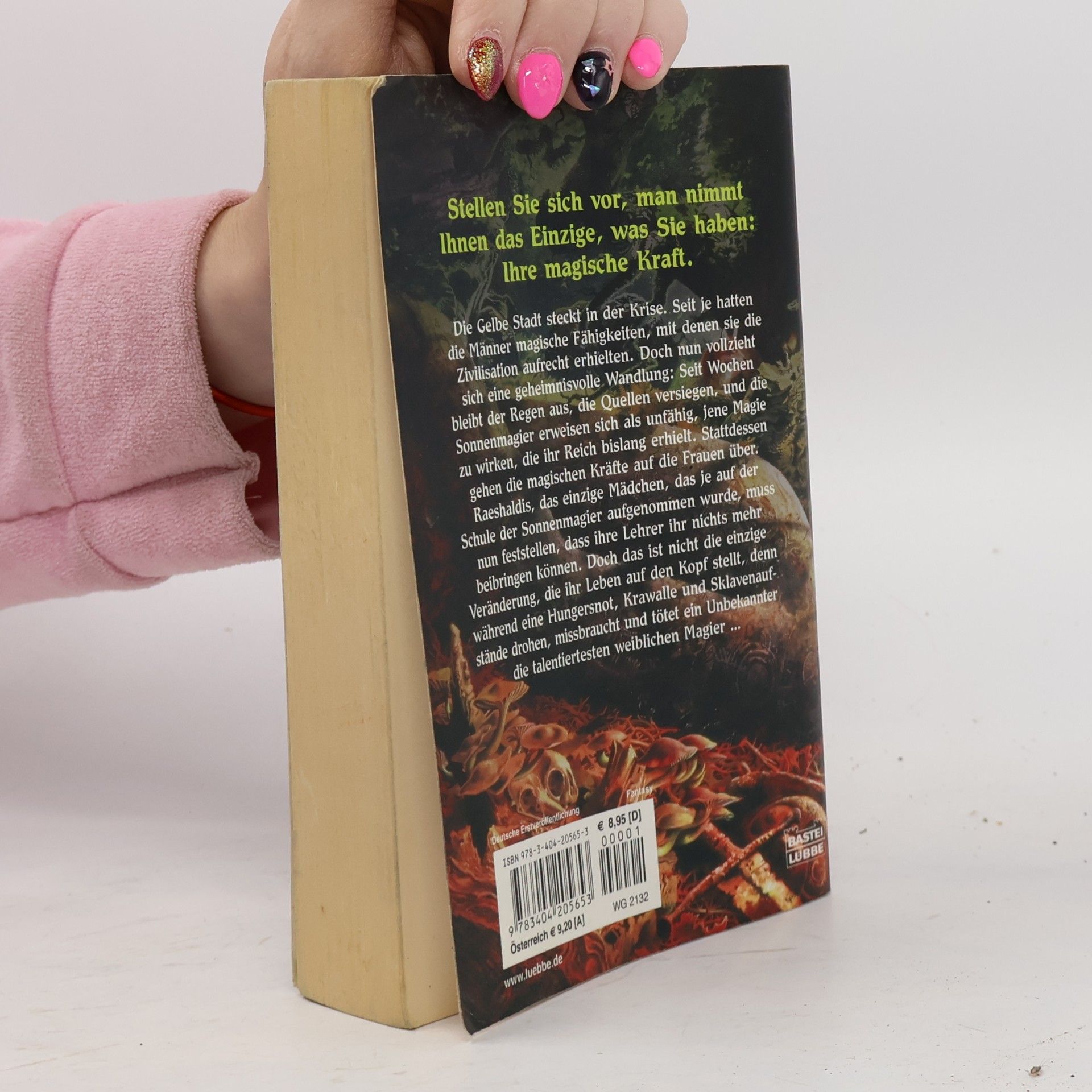 Barbara Hambly Schwestern des Raben