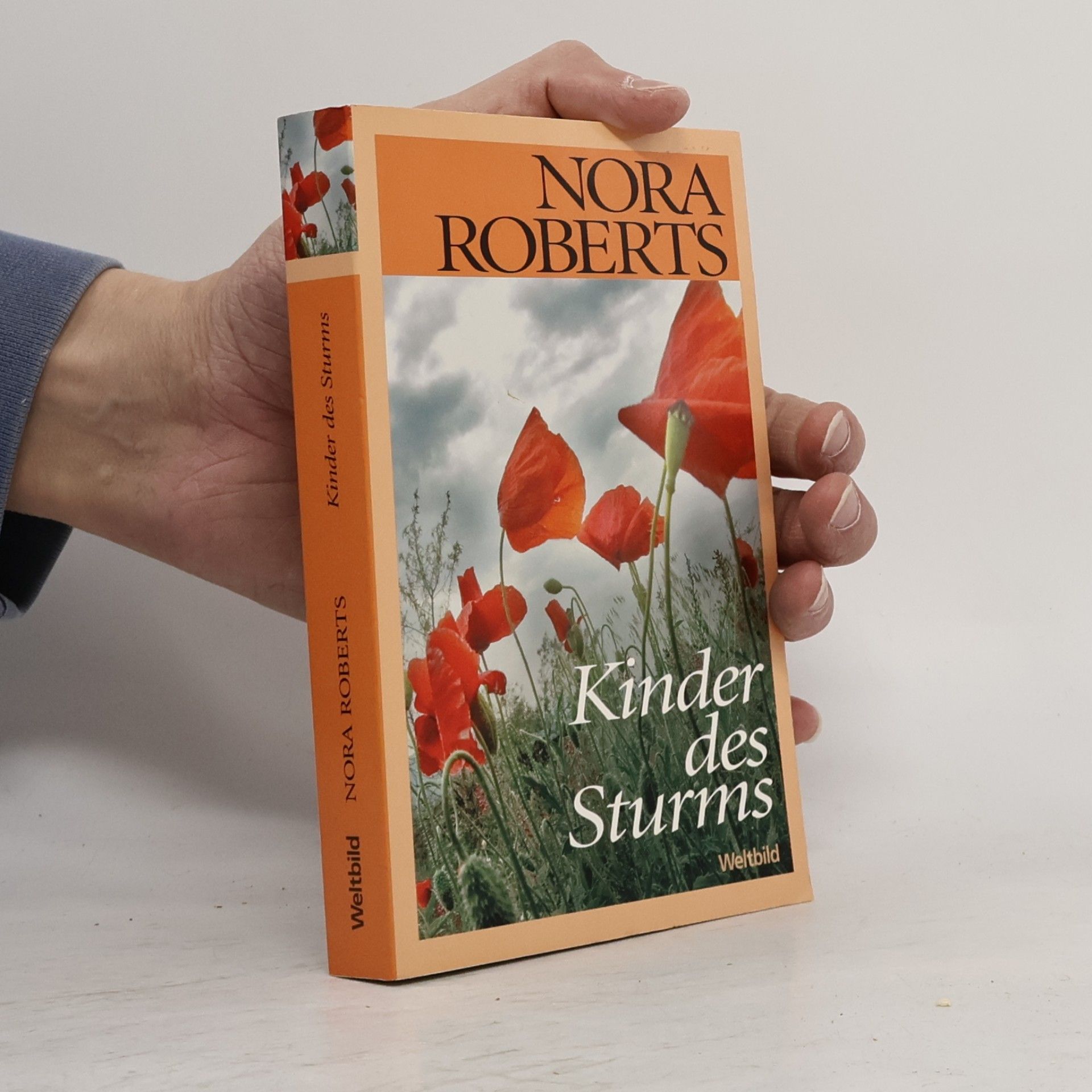 Kinder des sturms