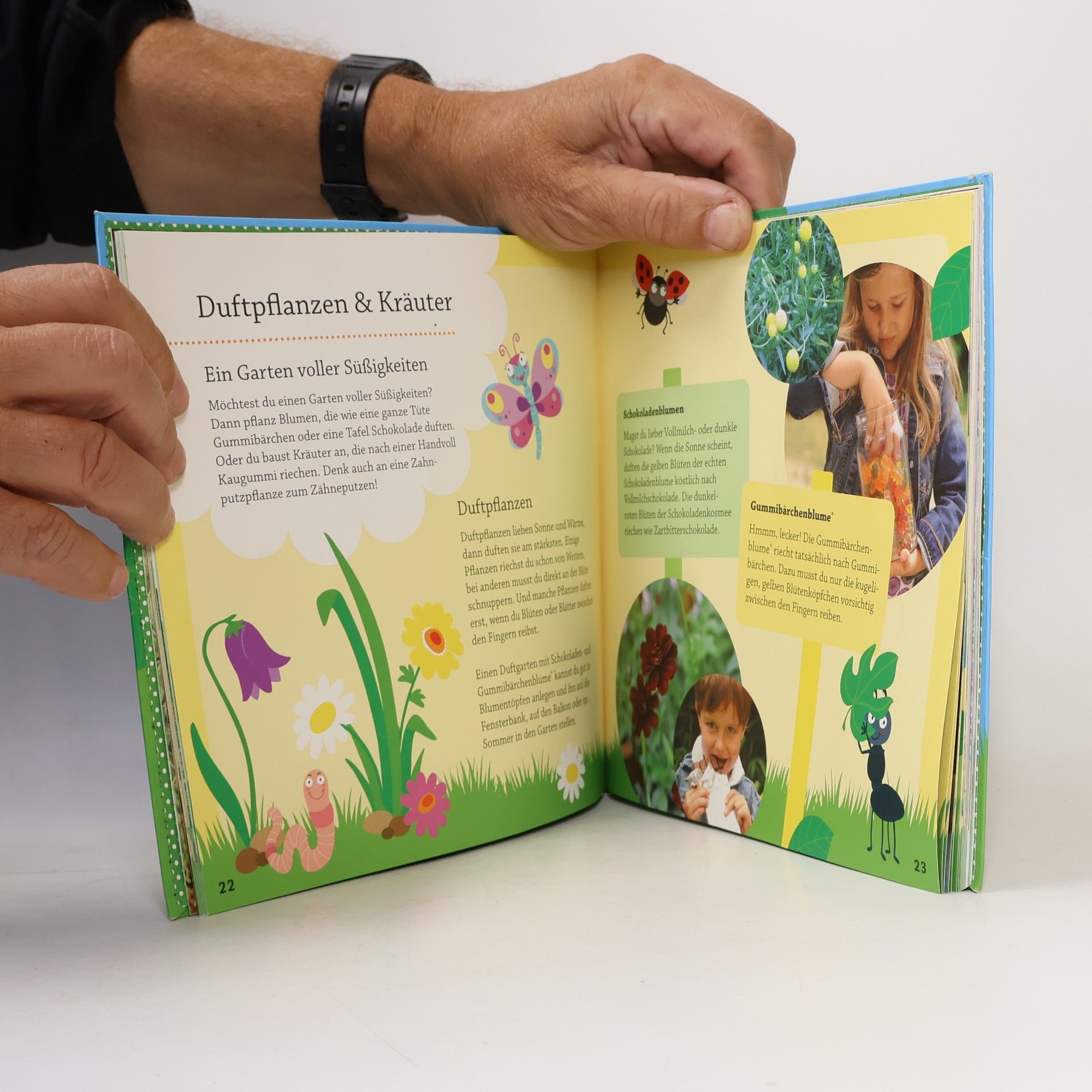 Anke Küpper Mein erstes Krabbelkäfer Gartenbuch