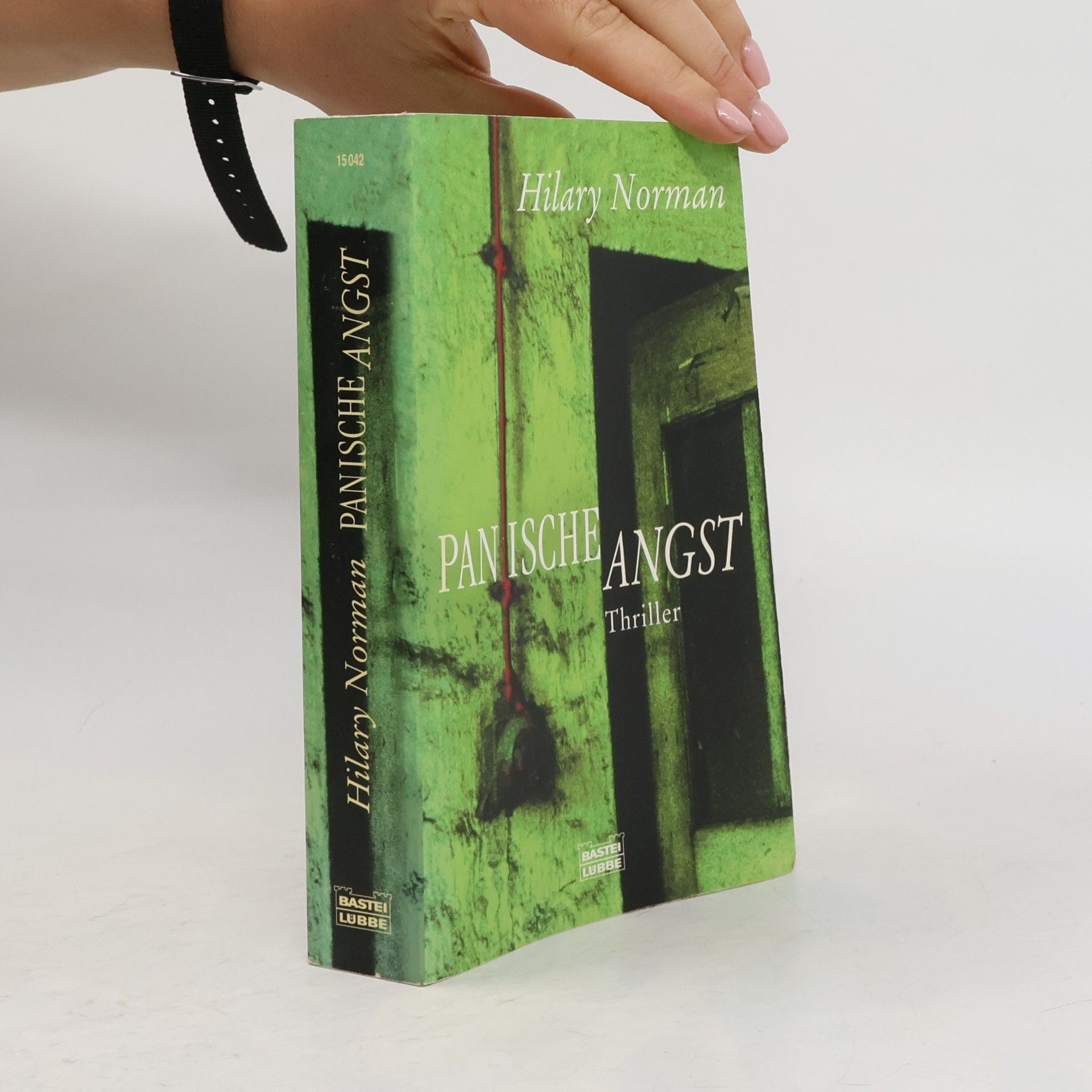 Hilary Norman Panische Angst