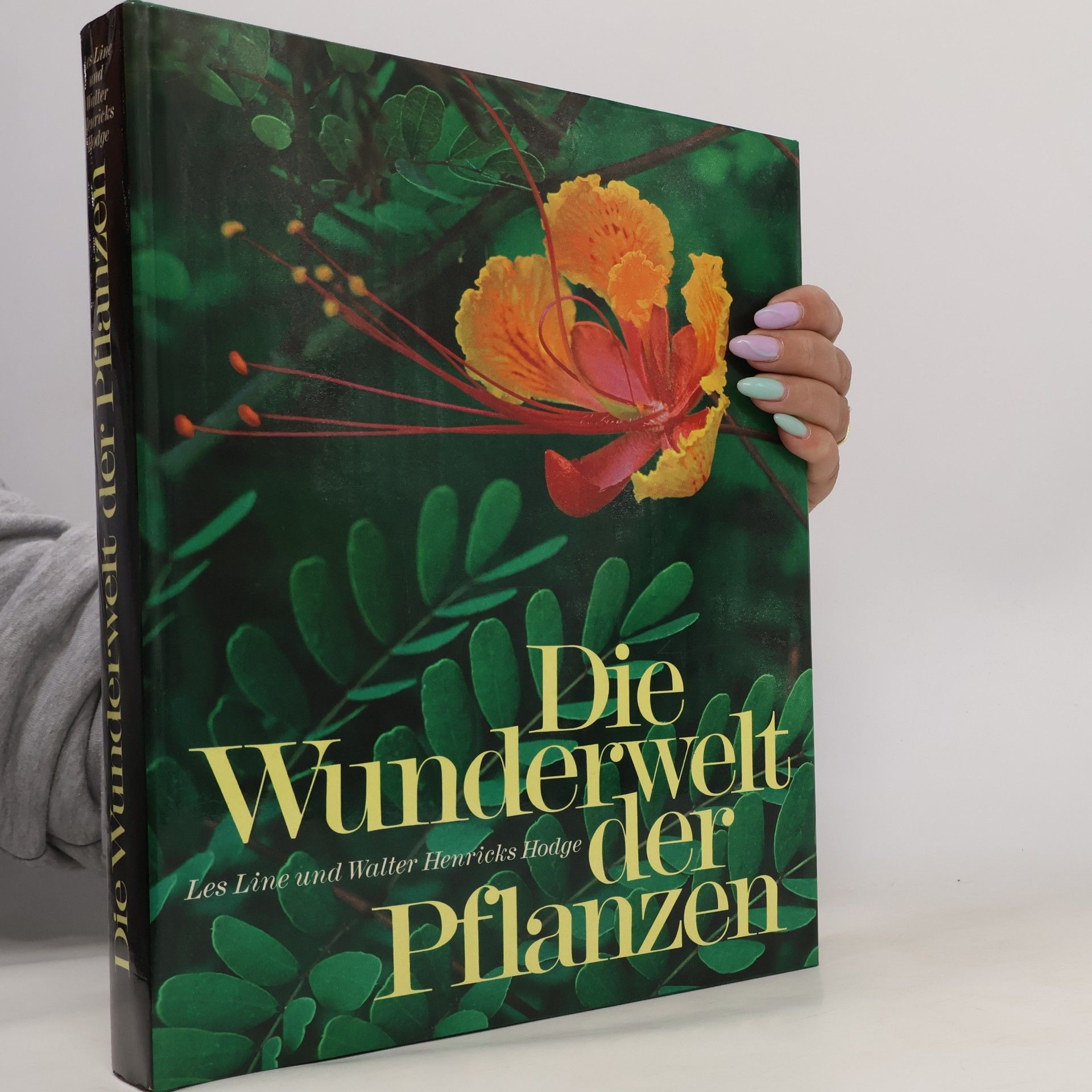 Die Wunderwelt der Pflanzen