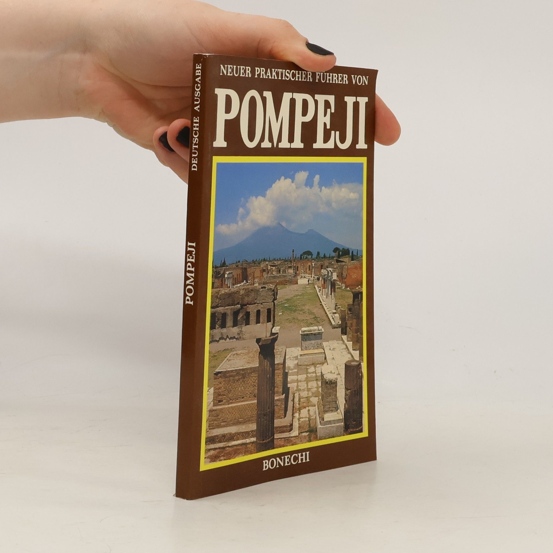 Autorenkollektiv Neuer Praktischer führer von Pompeji