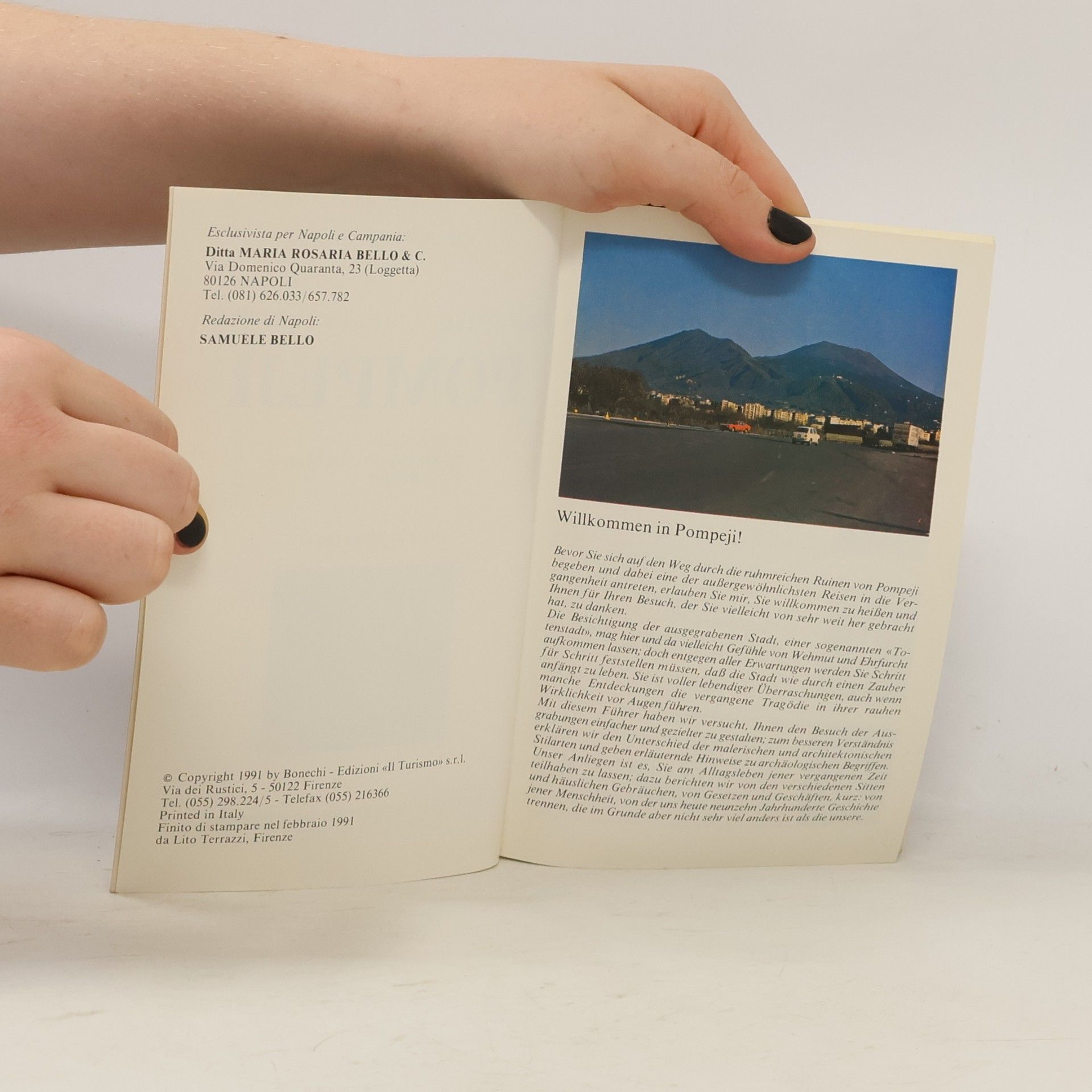Autorenkollektiv Neuer Praktischer führer von Pompeji