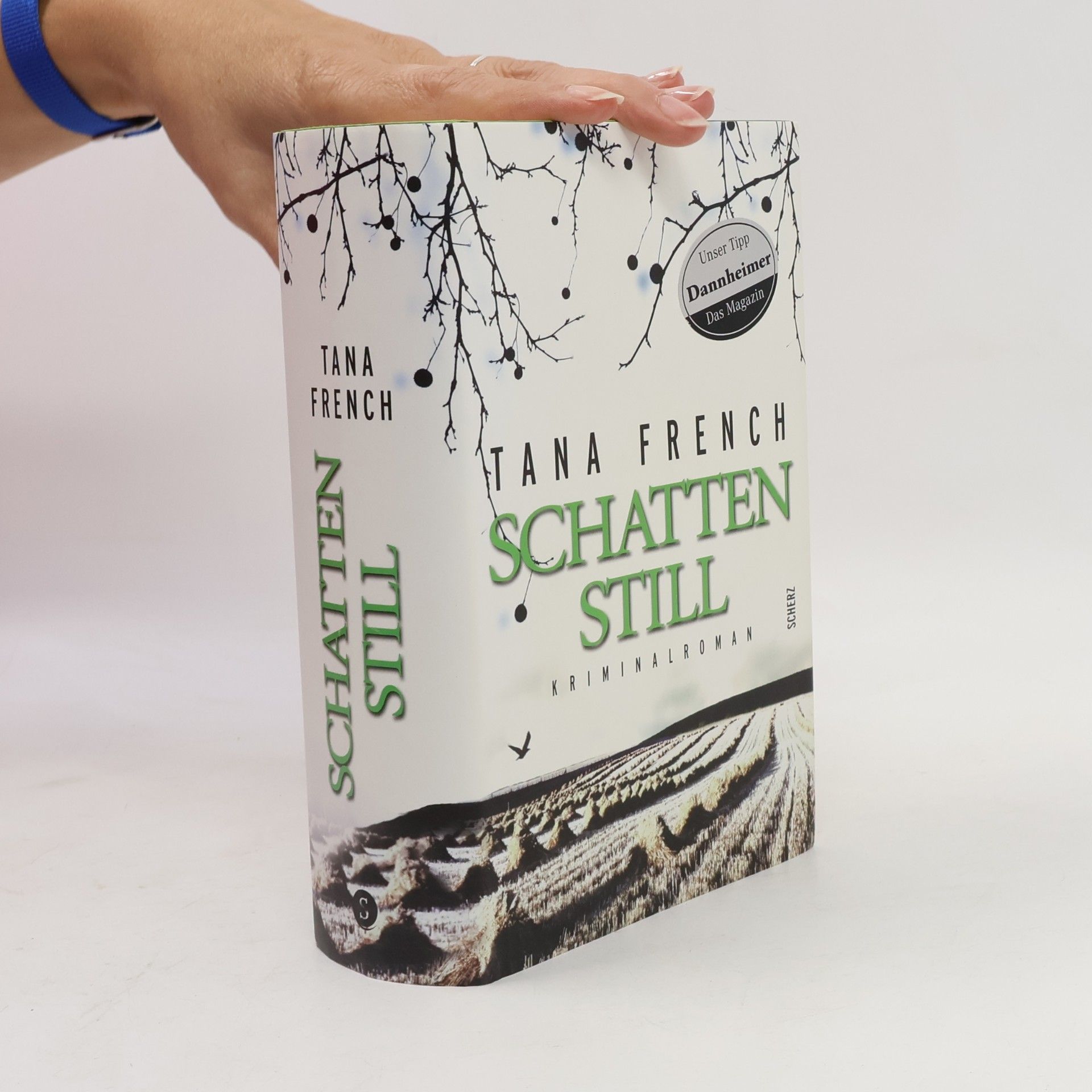Schattenstill
