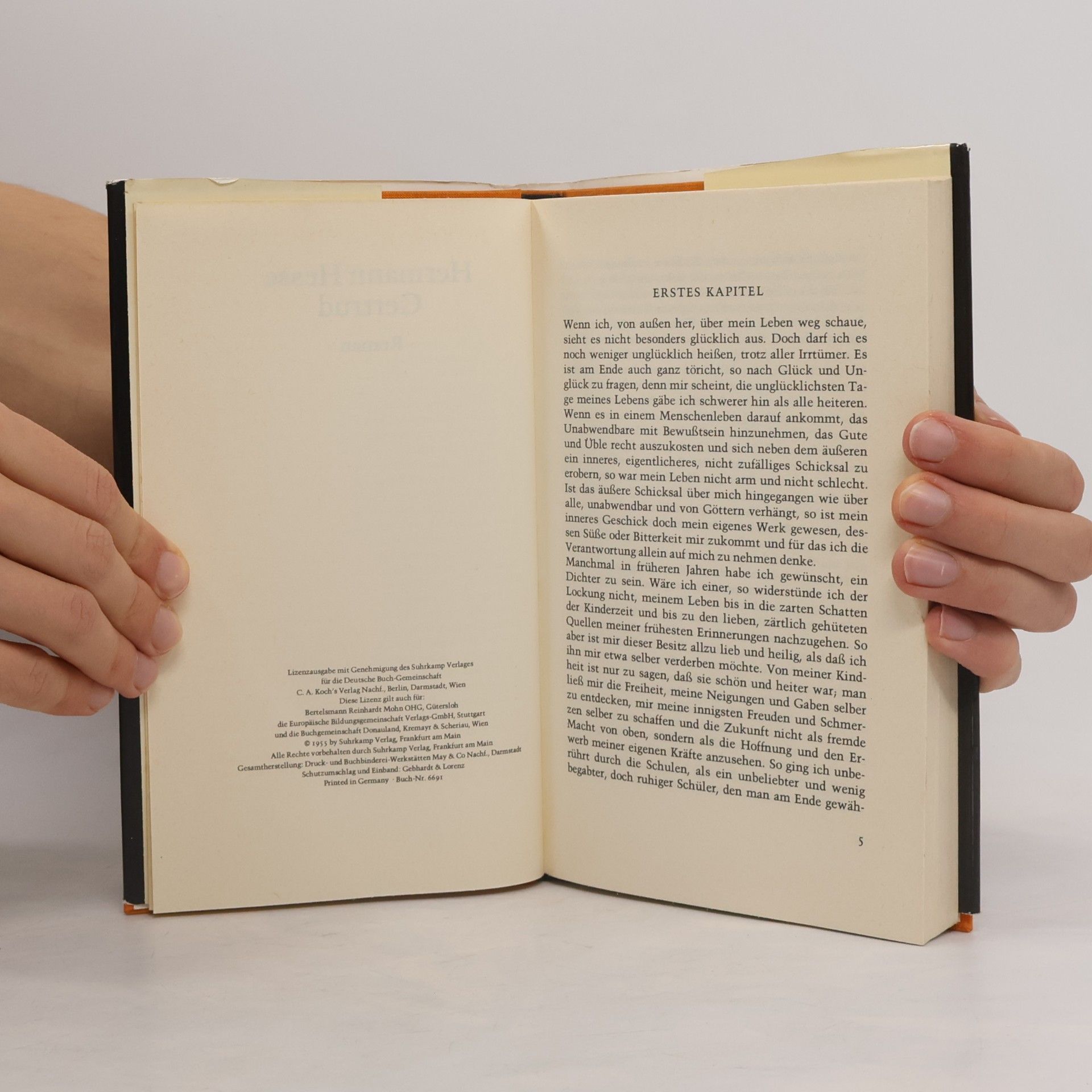 Hermann Hesse Gertrud
