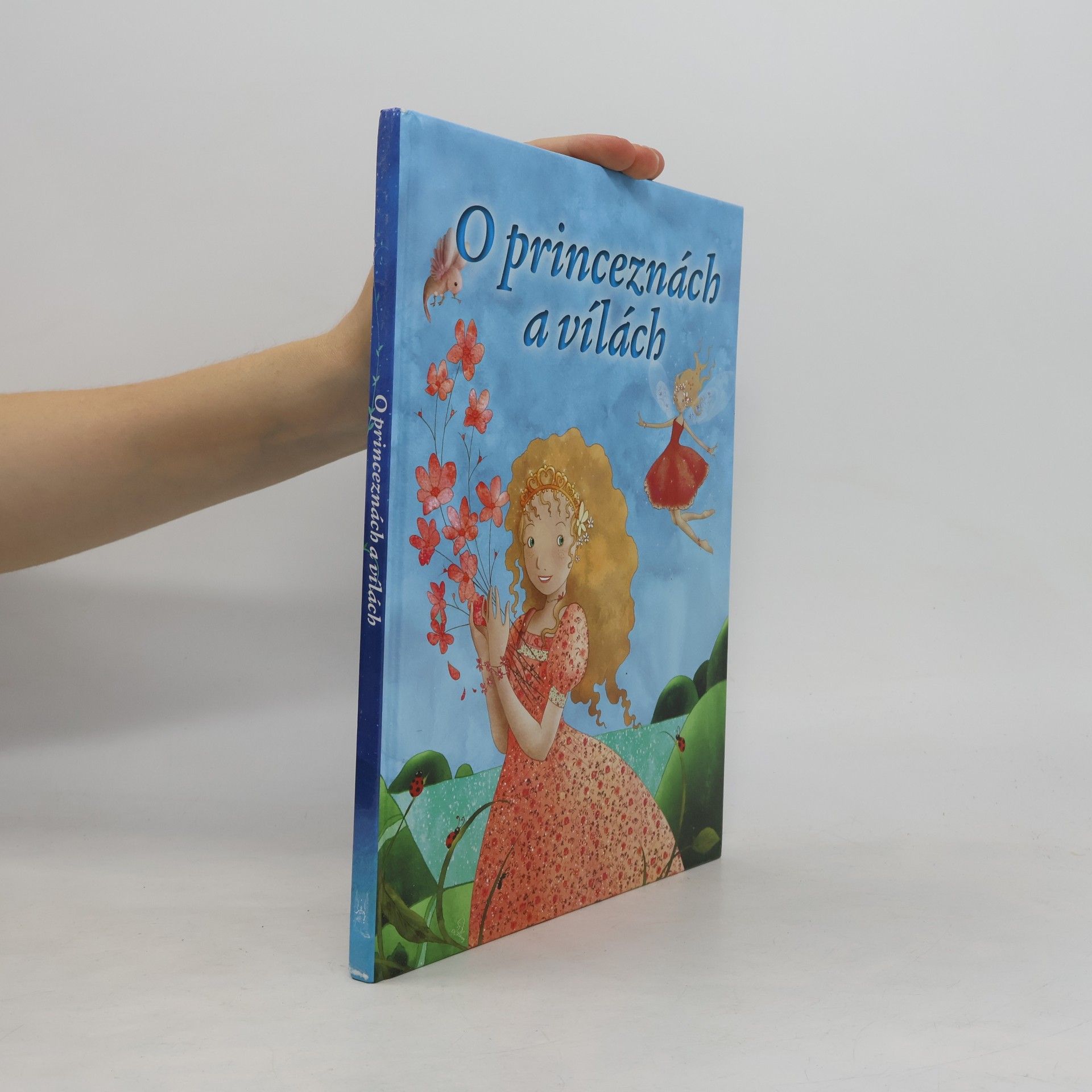 Autorenkollektiv O princeznách a vílách
