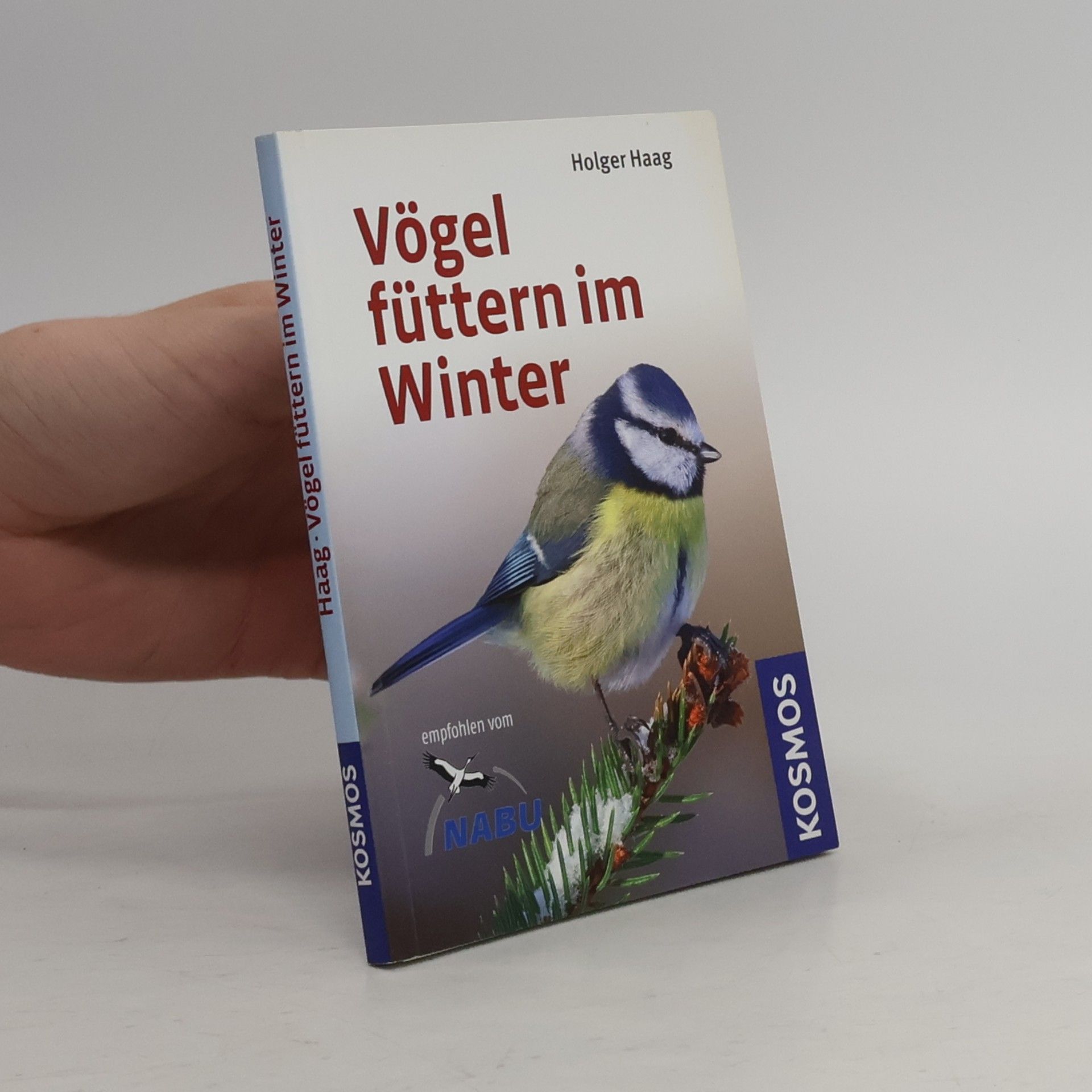 Vögel füttern im Winter
