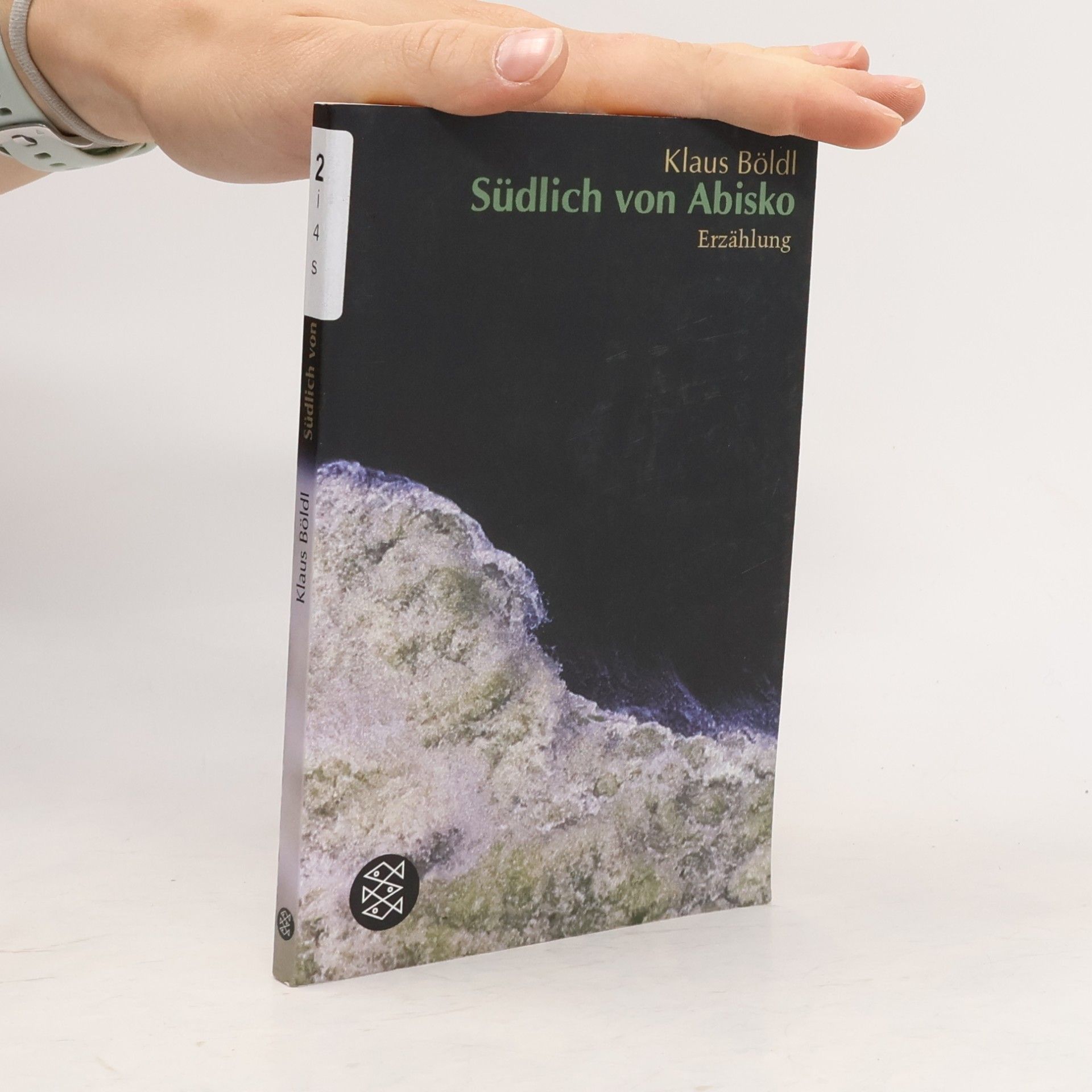 Klaus Böldl Südlich von Abisko
