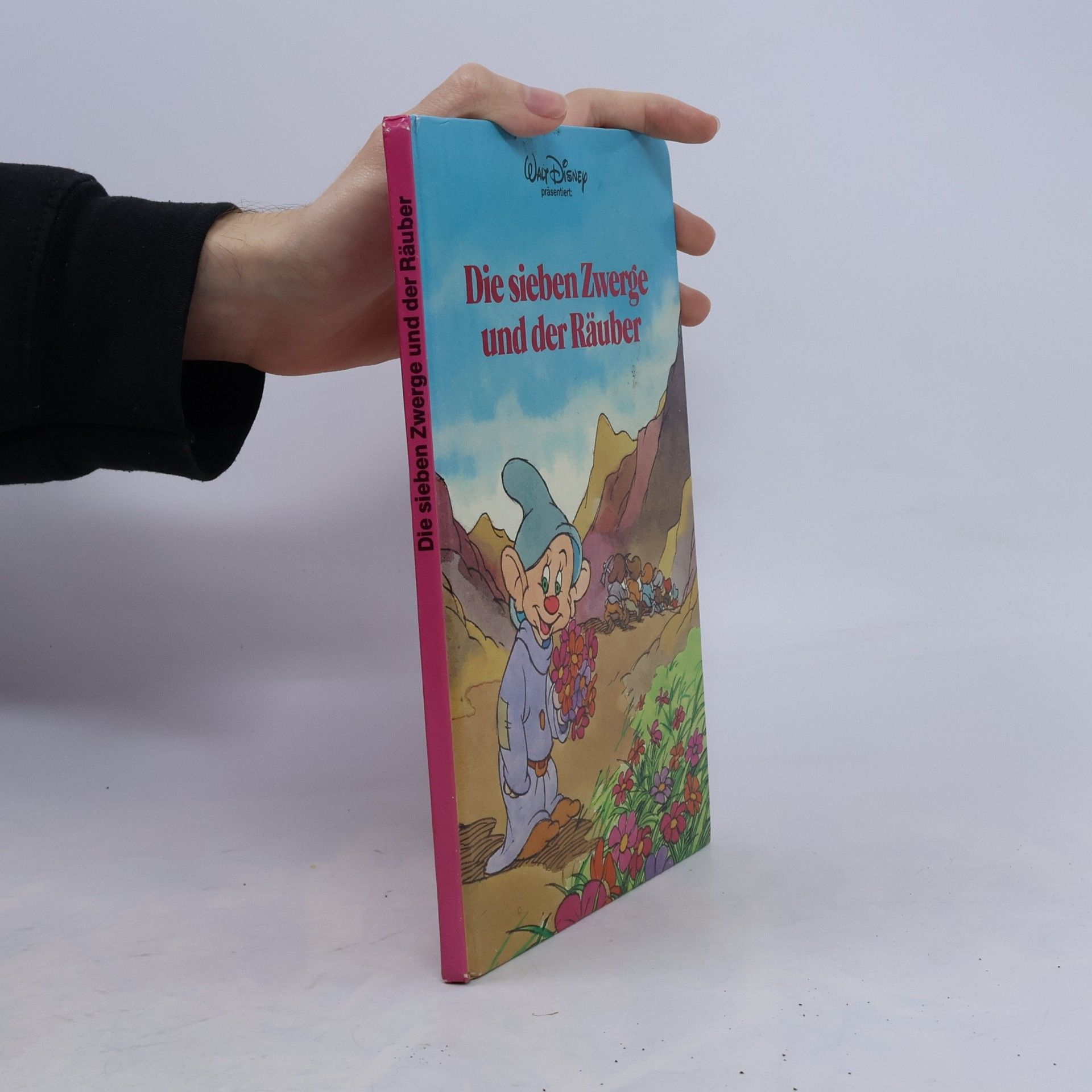 Autorenkollektiv Die sieben Zwerge und der Räuber