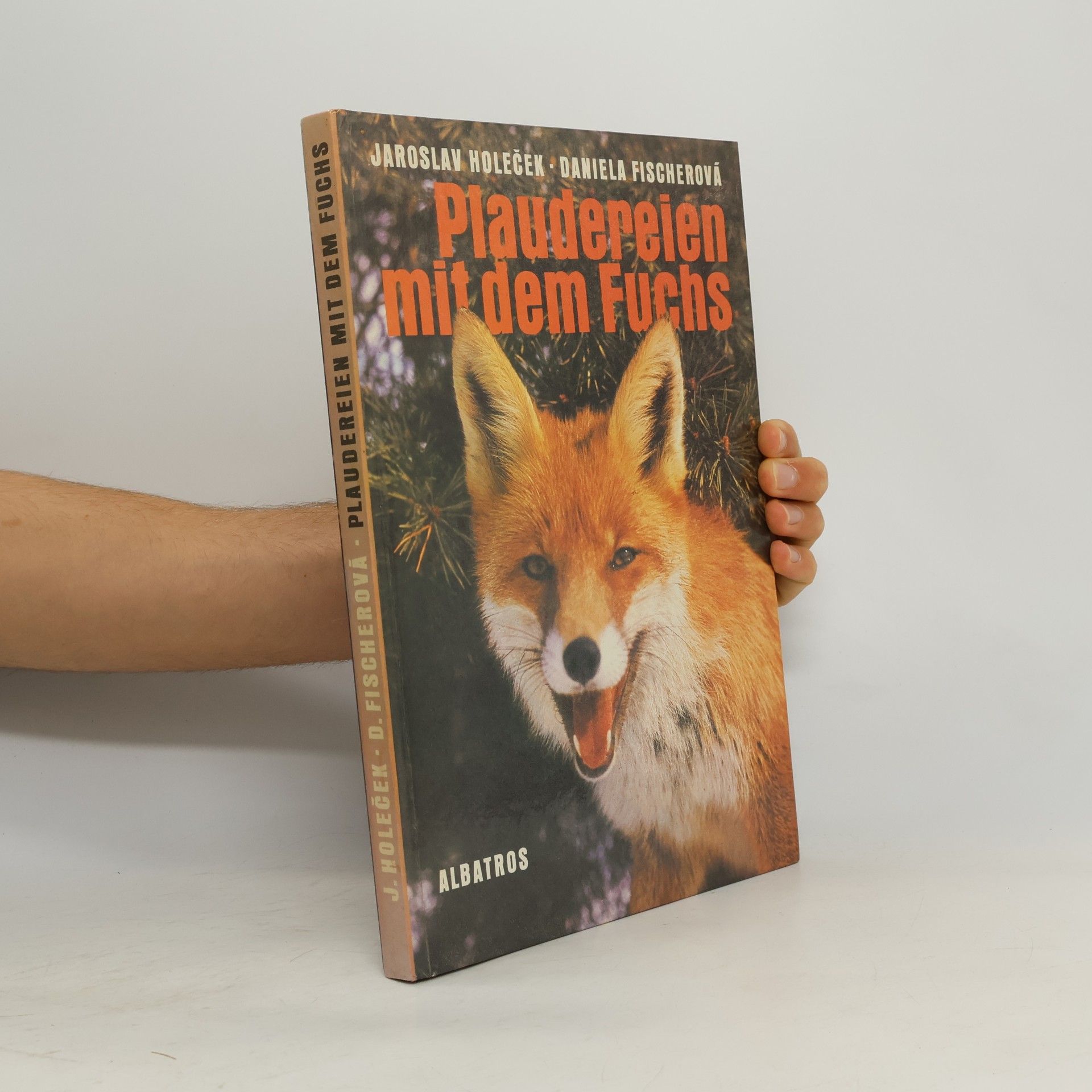 Plaudereien mit dem Fuchs
