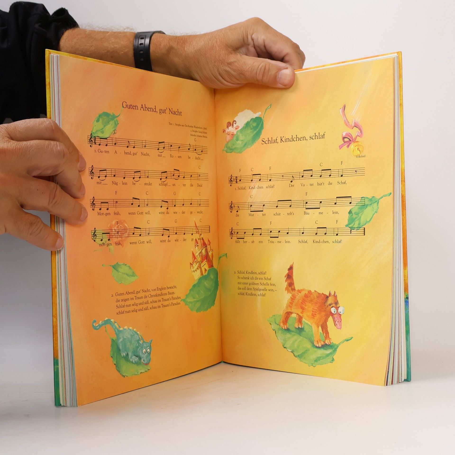 Catrin Frischer Das Liederbuch