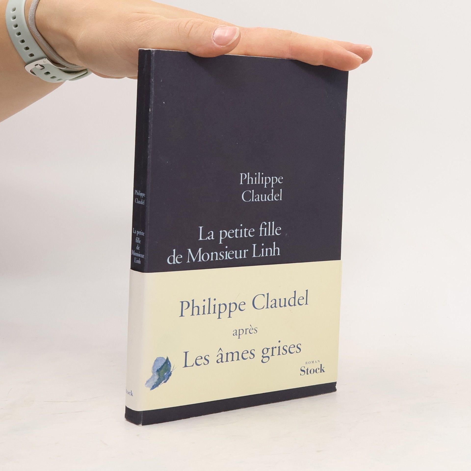 La petite fille de Monsieur Linh