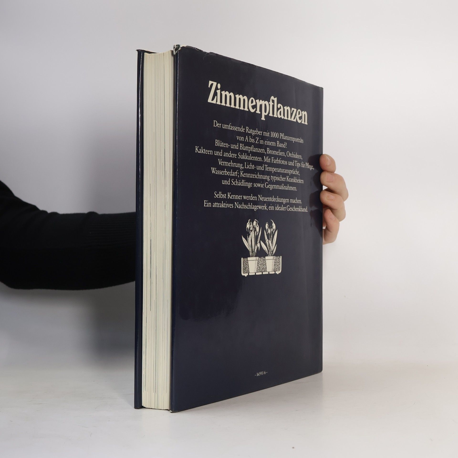 Rob Herwig Zimmerpflanzen
