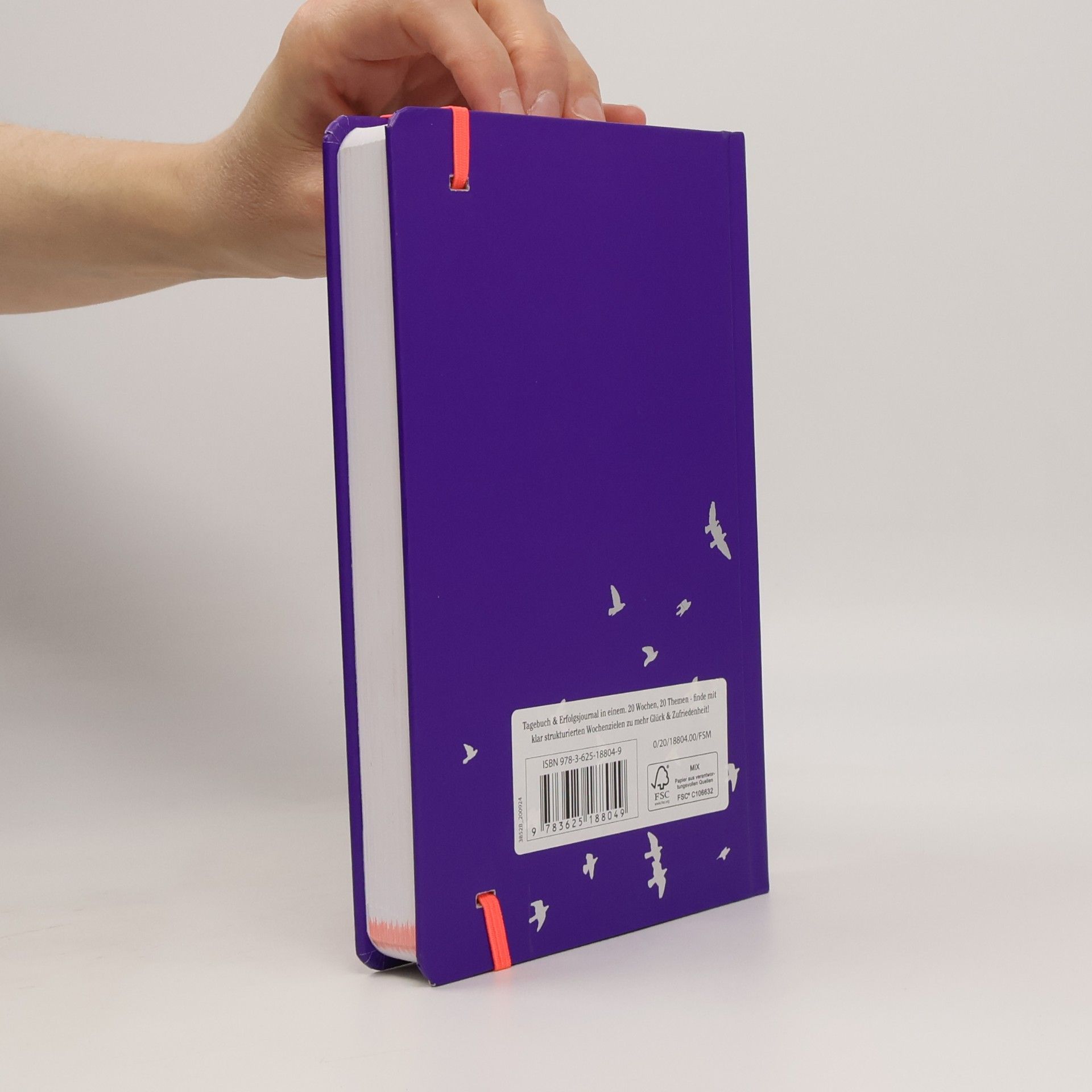 Anne Sommer Change - Mein Leben in meiner Hand. Tagebuch mit 20 Wegen für ein neues Ich