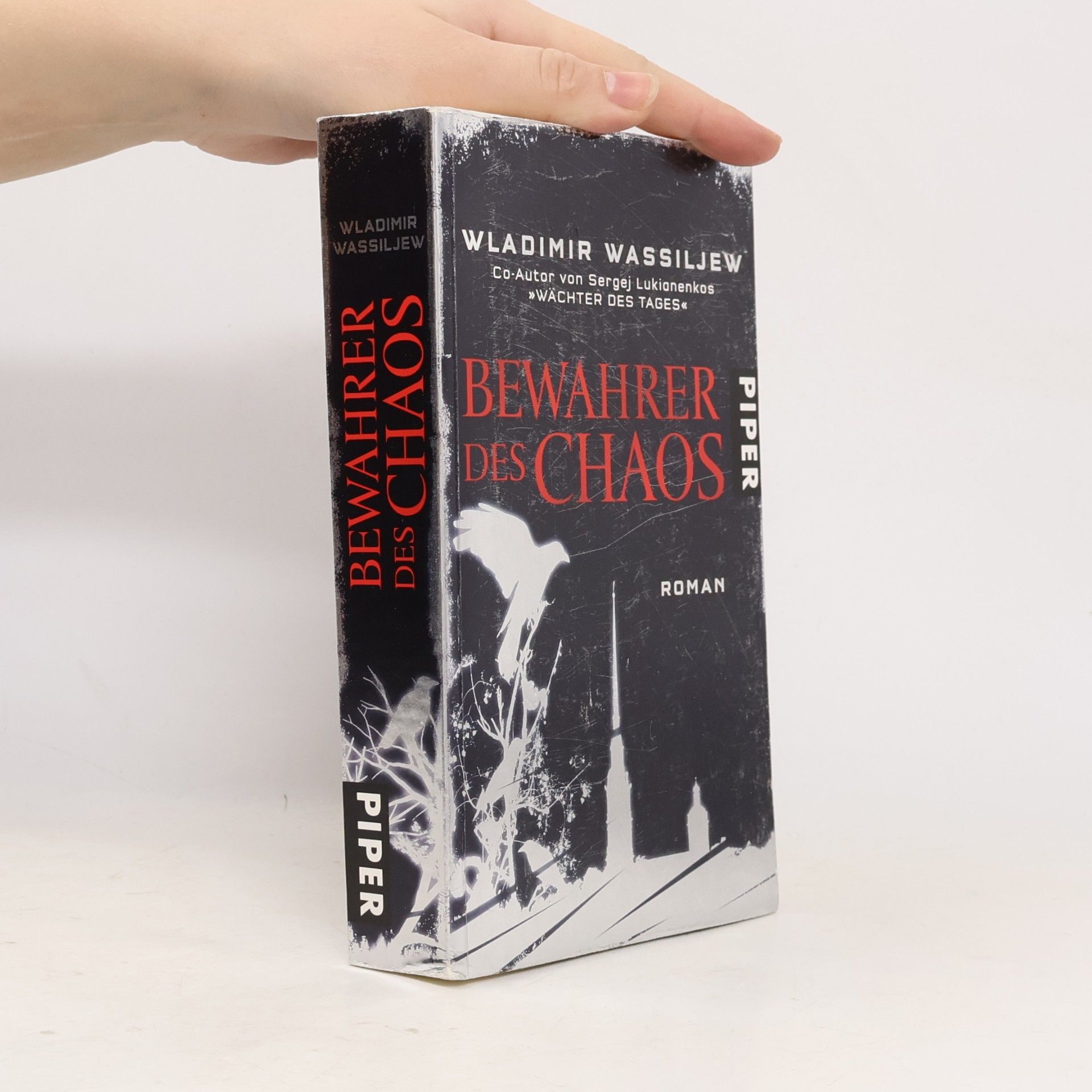 Vladimir Vasilʹev Bewahrer des Chaos