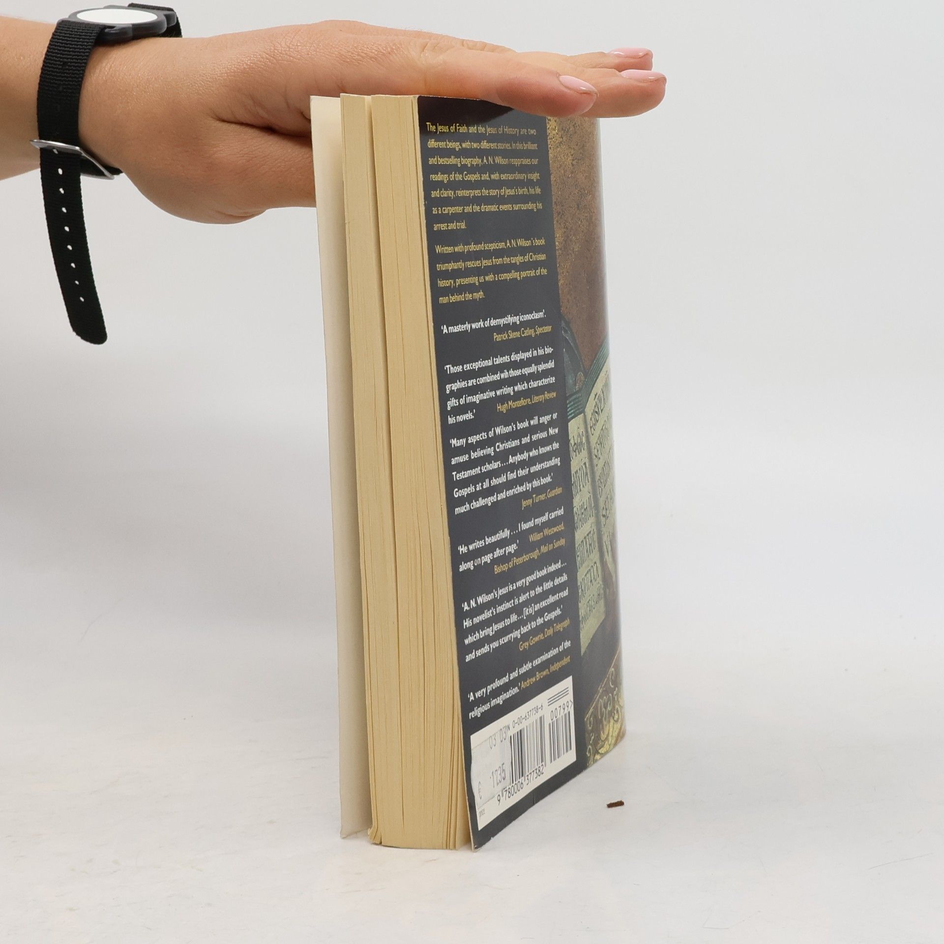 Andrew Norman Wilson Jesus