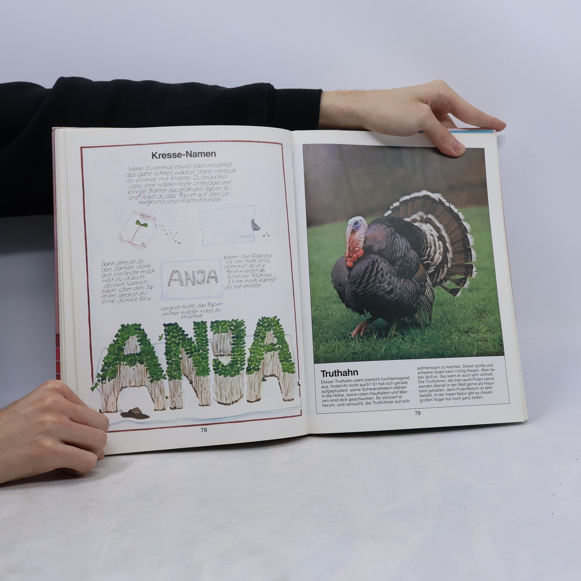 Autorenkollektiv Spielen und lernen Jahrbuch ‘82
