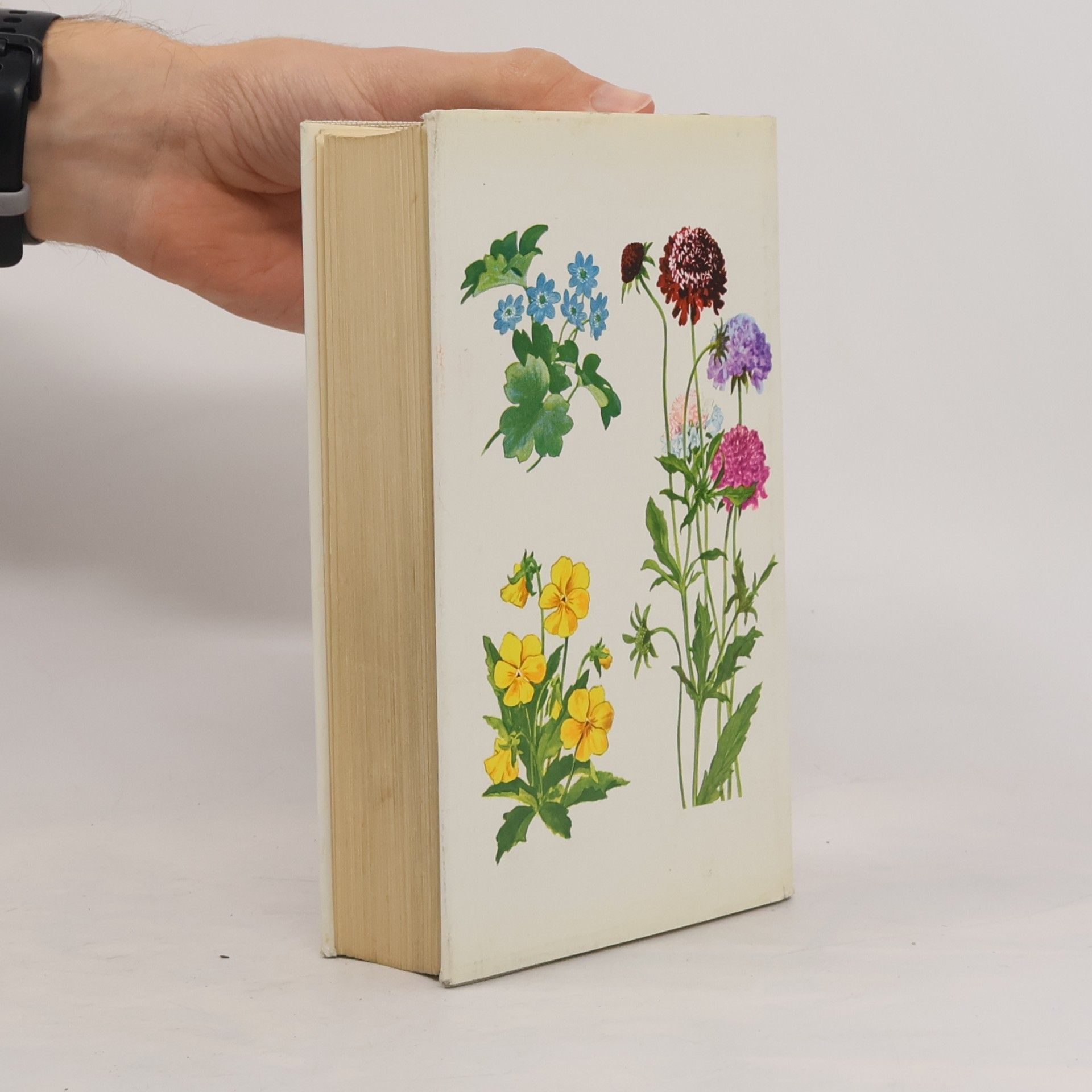 Horst Koehler Das bunte Blumenbuch