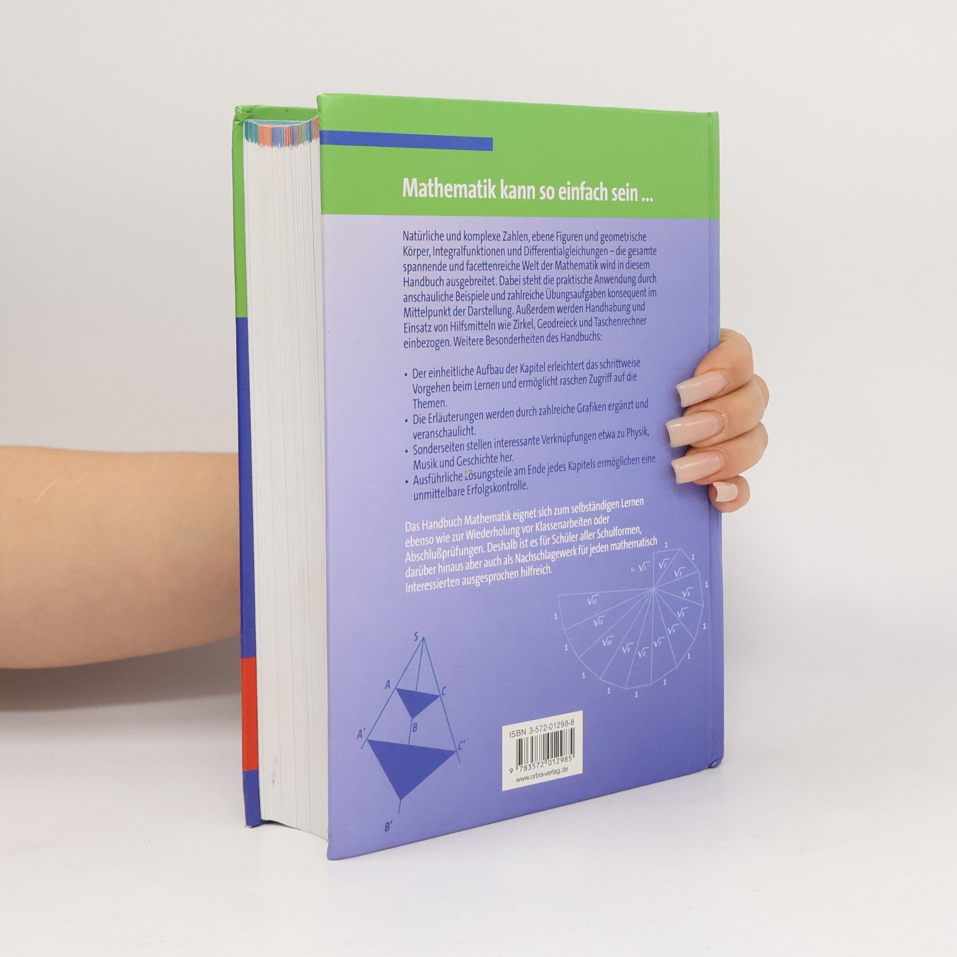 Wolfgang Scholl Handbuch Mathematik