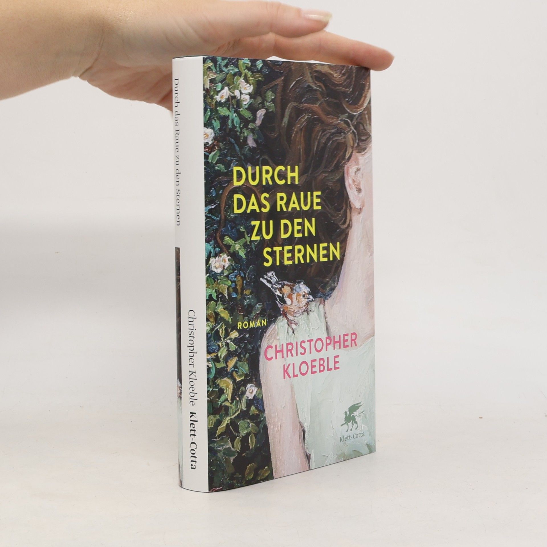 Durch das Raue zu den Sternen
