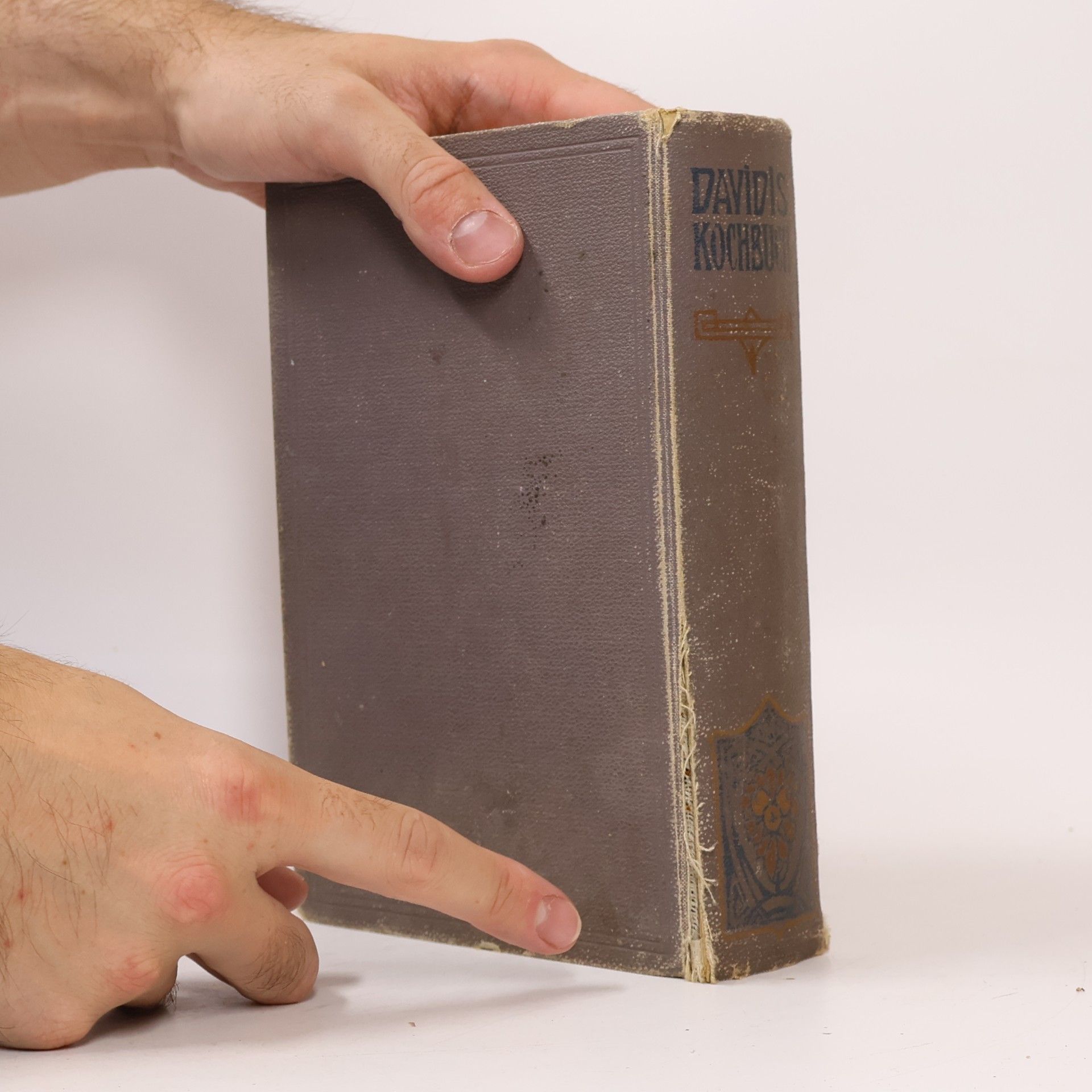 Henriette Davidis Praktisches Kochbuch