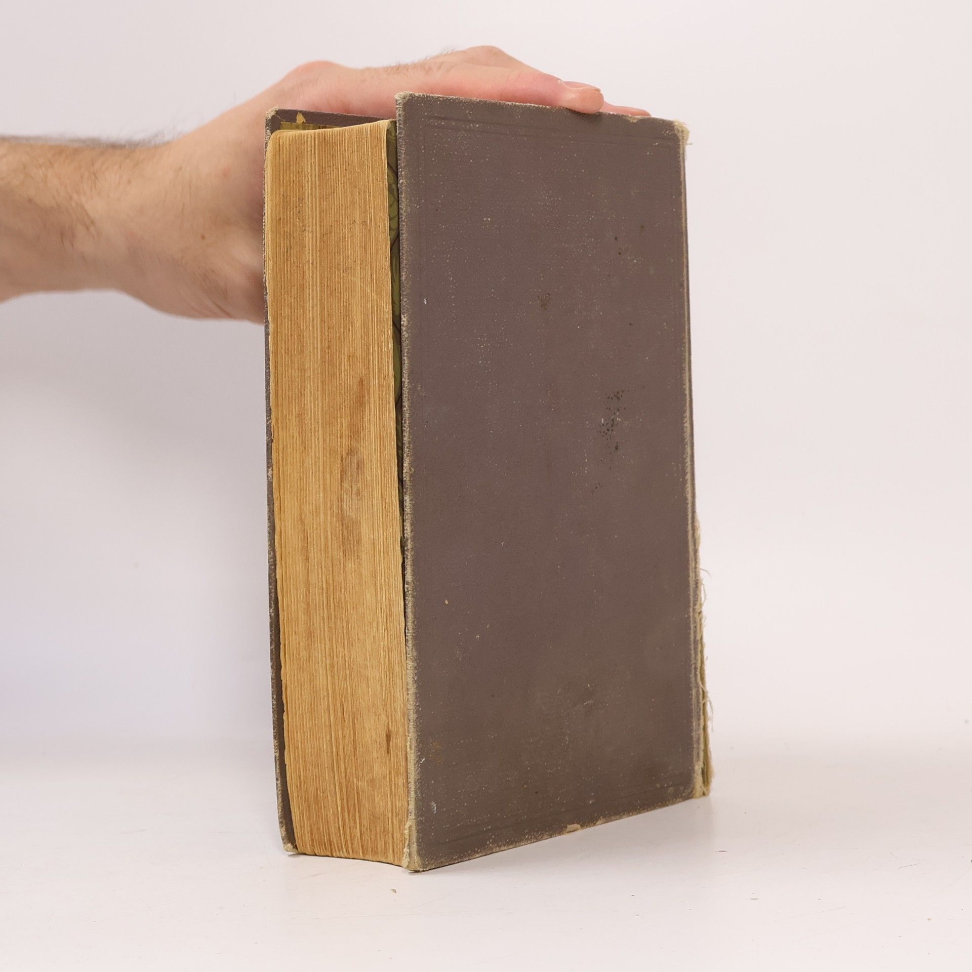 Henriette Davidis Praktisches Kochbuch
