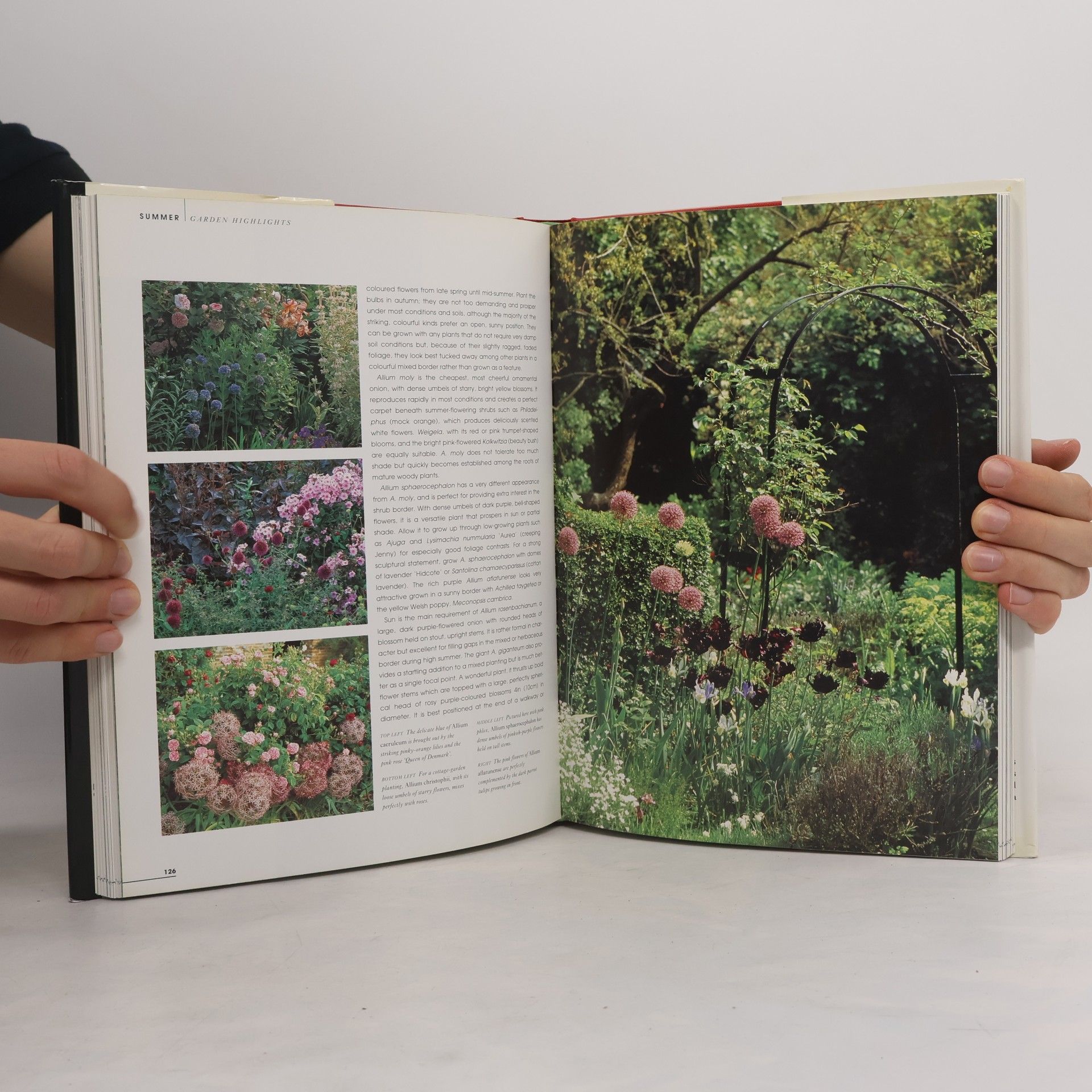 Brian Mathew The Gardener's Guide to Bulbs