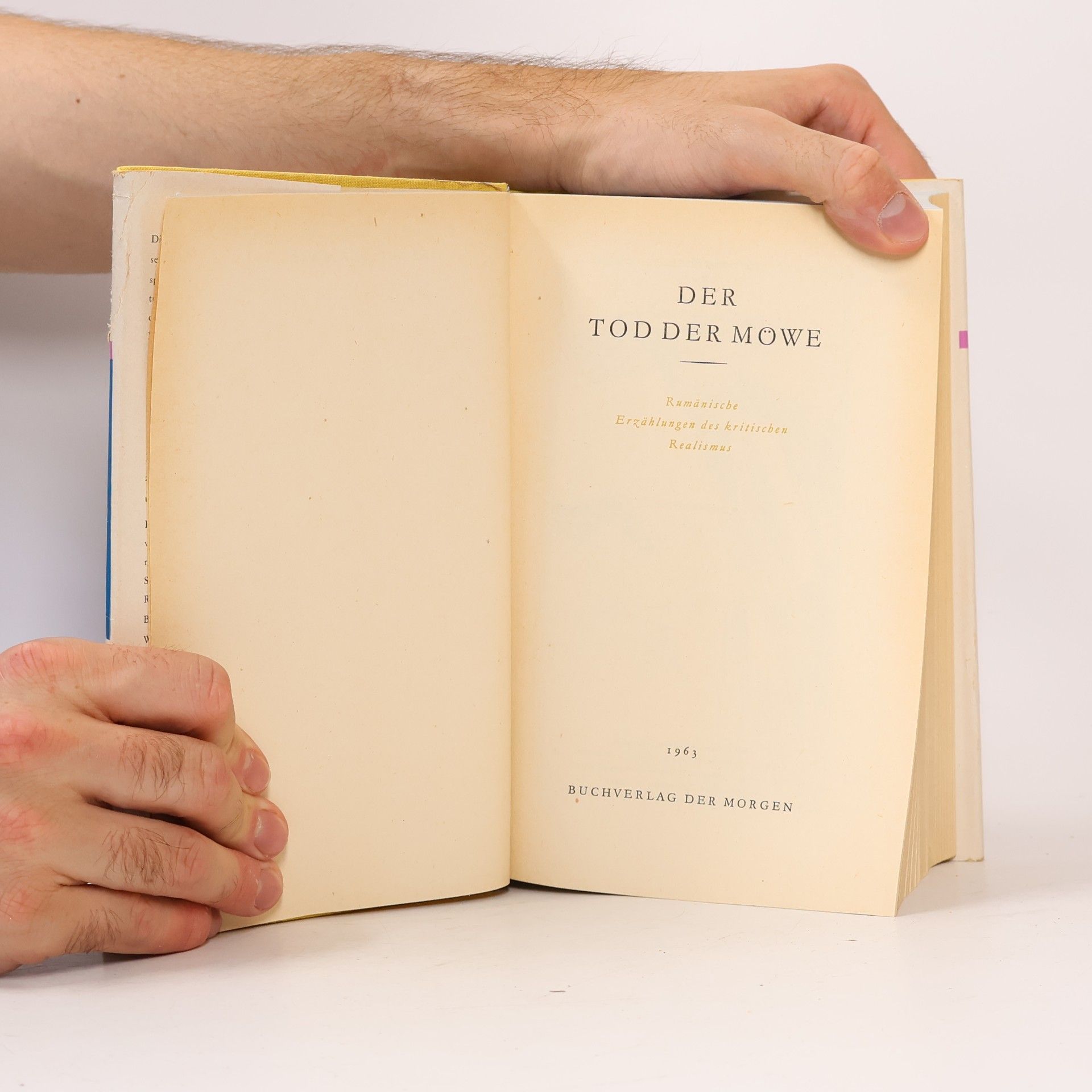 J. P. Molin Der Tod der Möwe