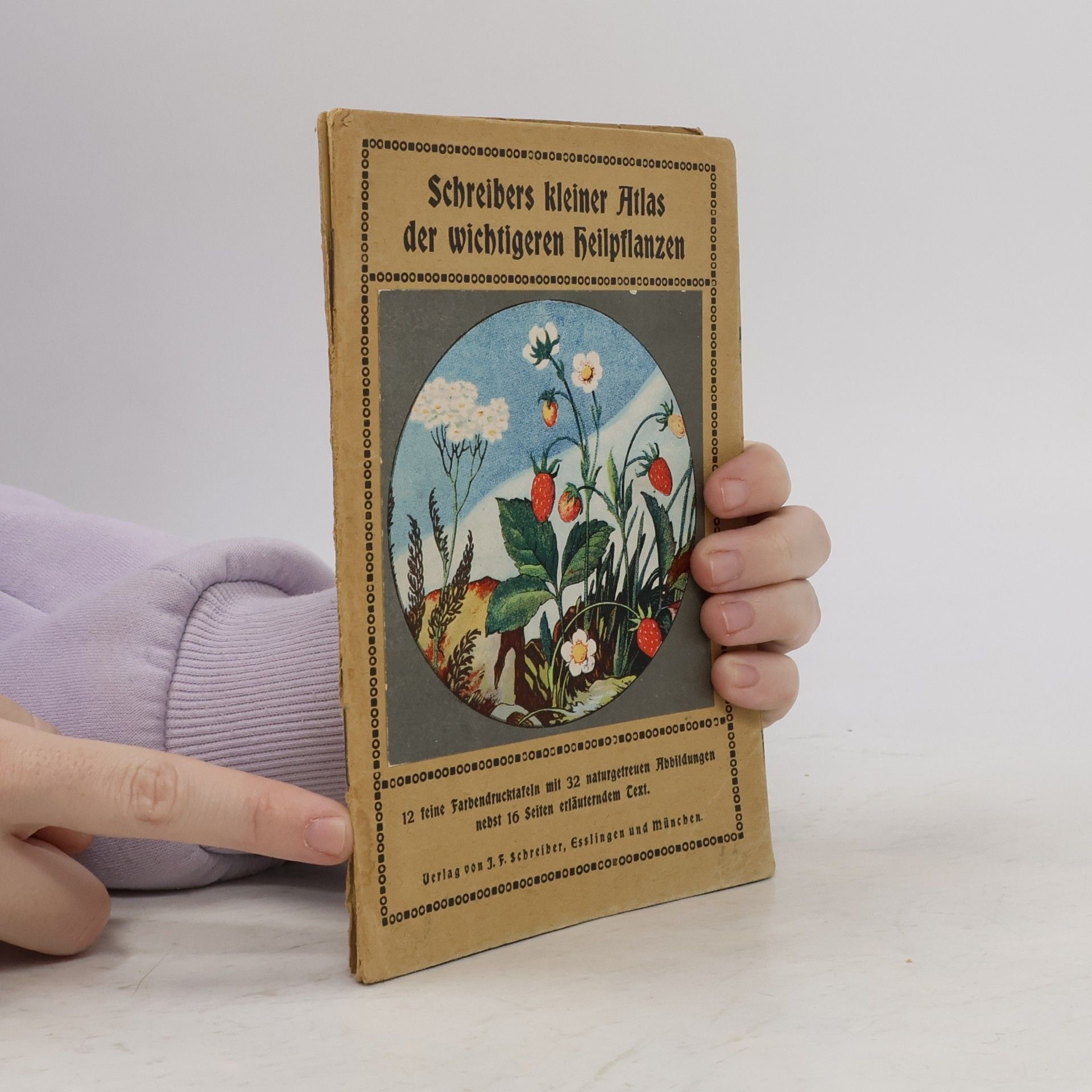 Kolektiv autorů Schreibers kleiner Atlas der wichtigeren Heilpflanzen