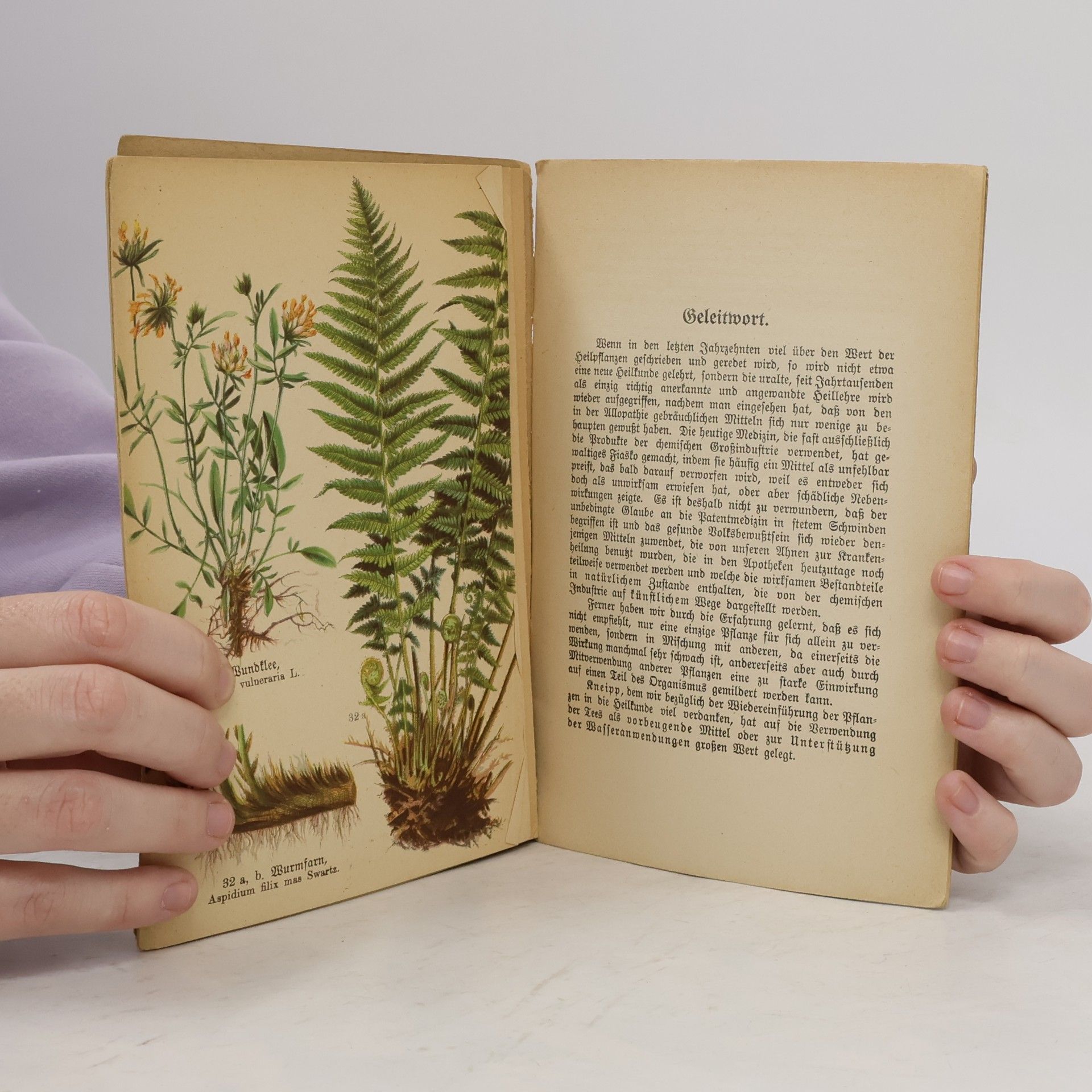 Kolektiv autorů Schreibers kleiner Atlas der wichtigeren Heilpflanzen