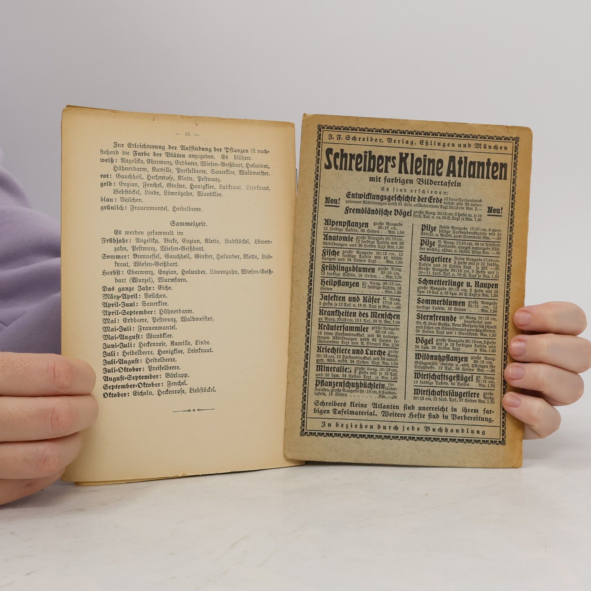 Kolektiv autorů Schreibers kleiner Atlas der wichtigeren Heilpflanzen