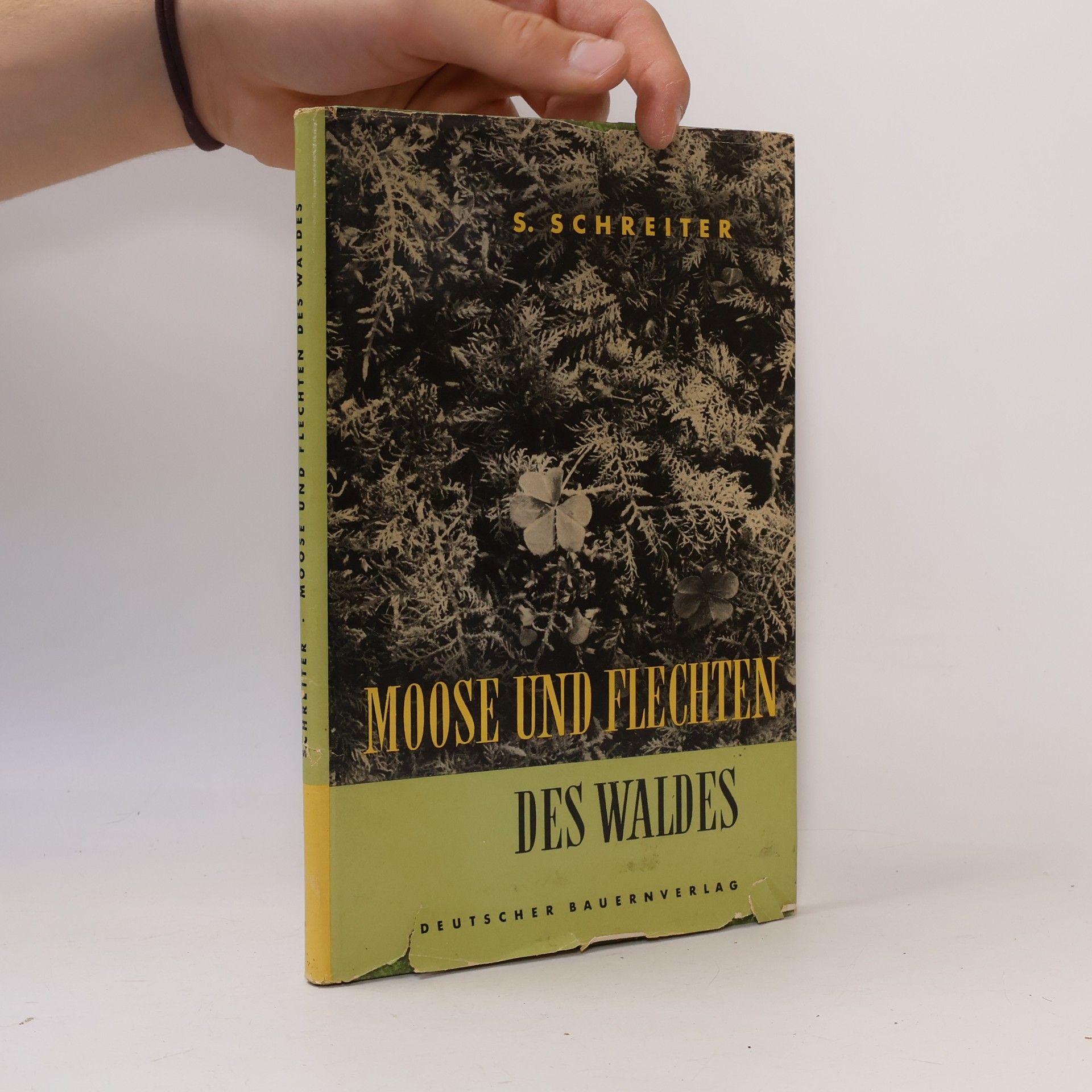 Moose und Flechten des Waldes