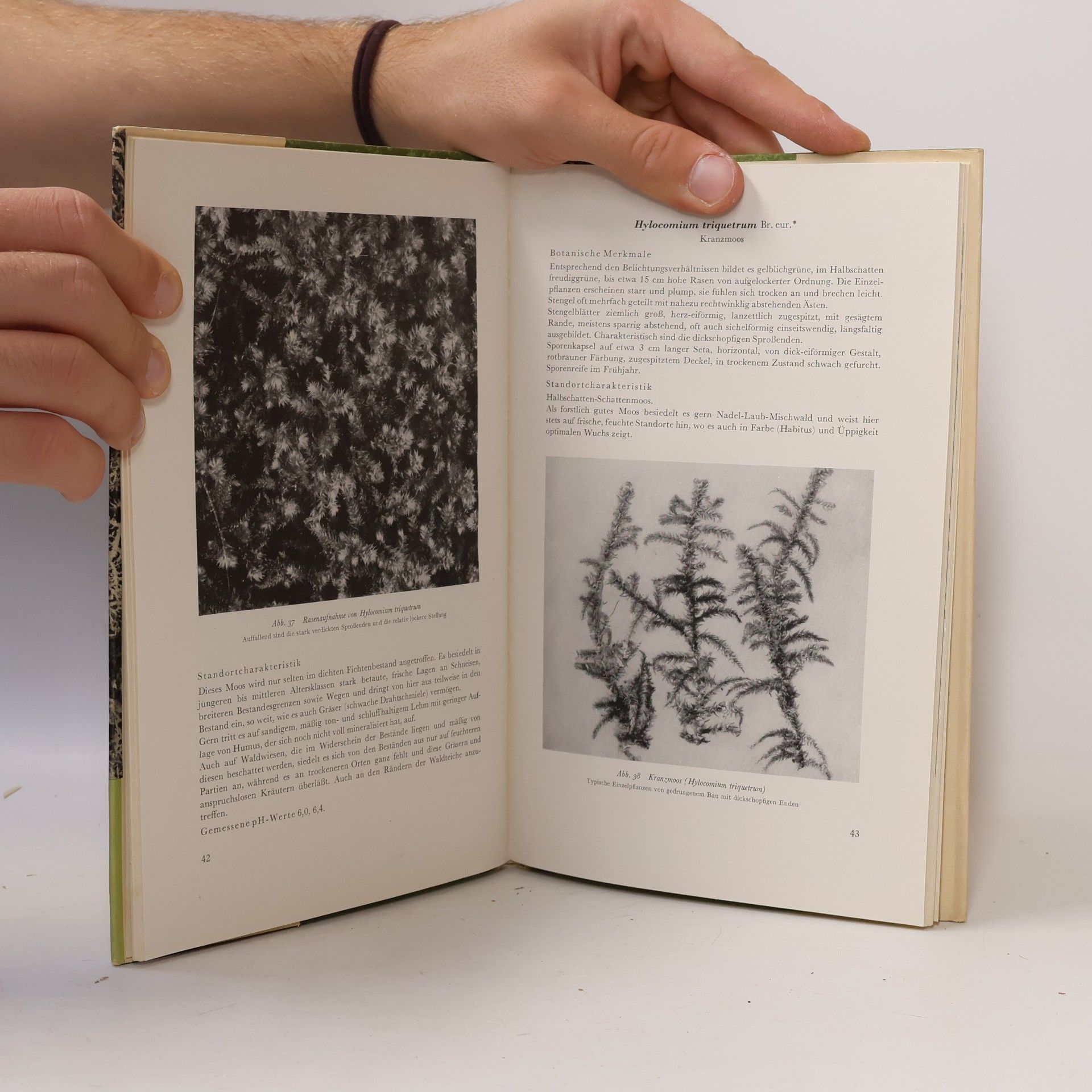 S. Schreiter Moose und Flechten des Waldes