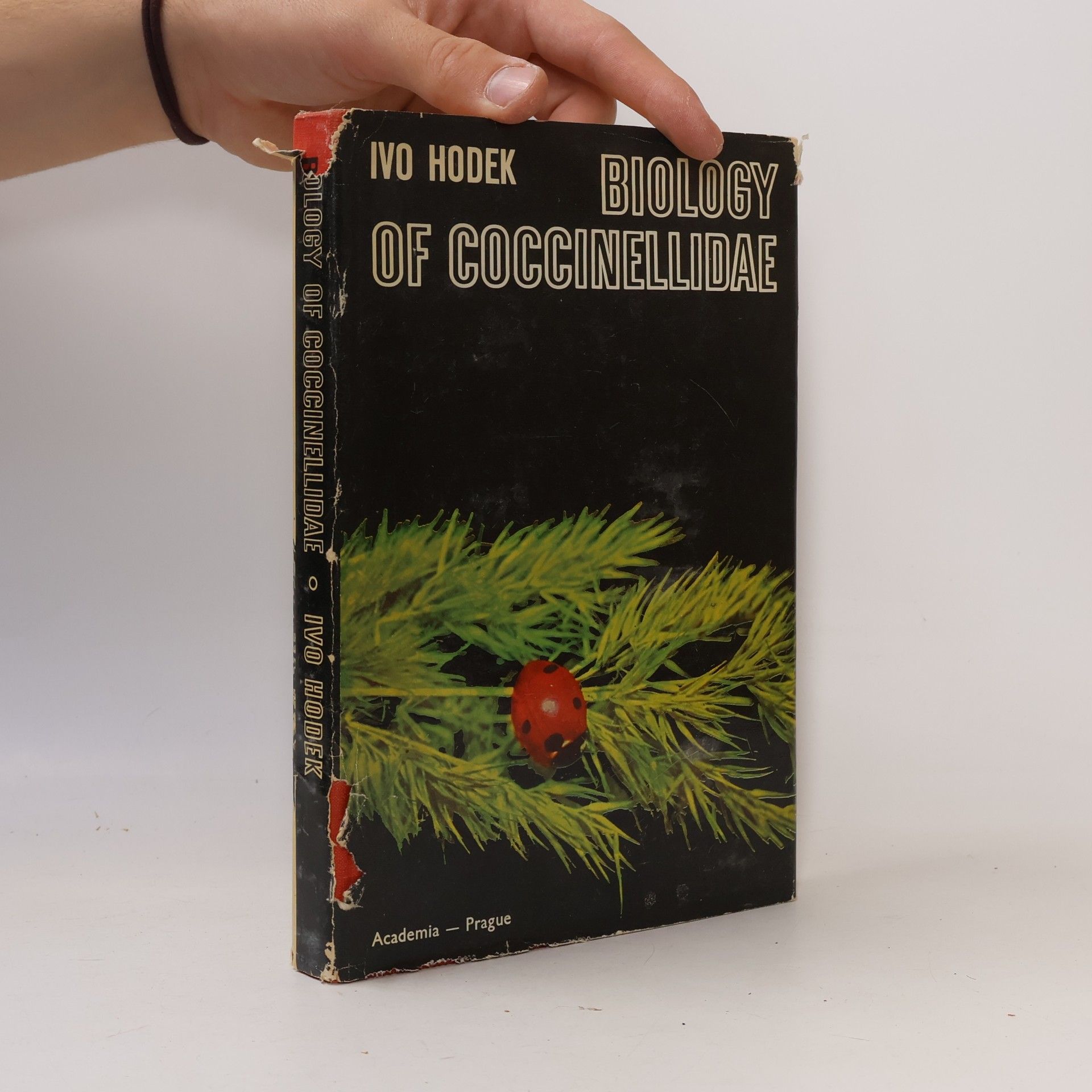 Biology of Coccinellidae