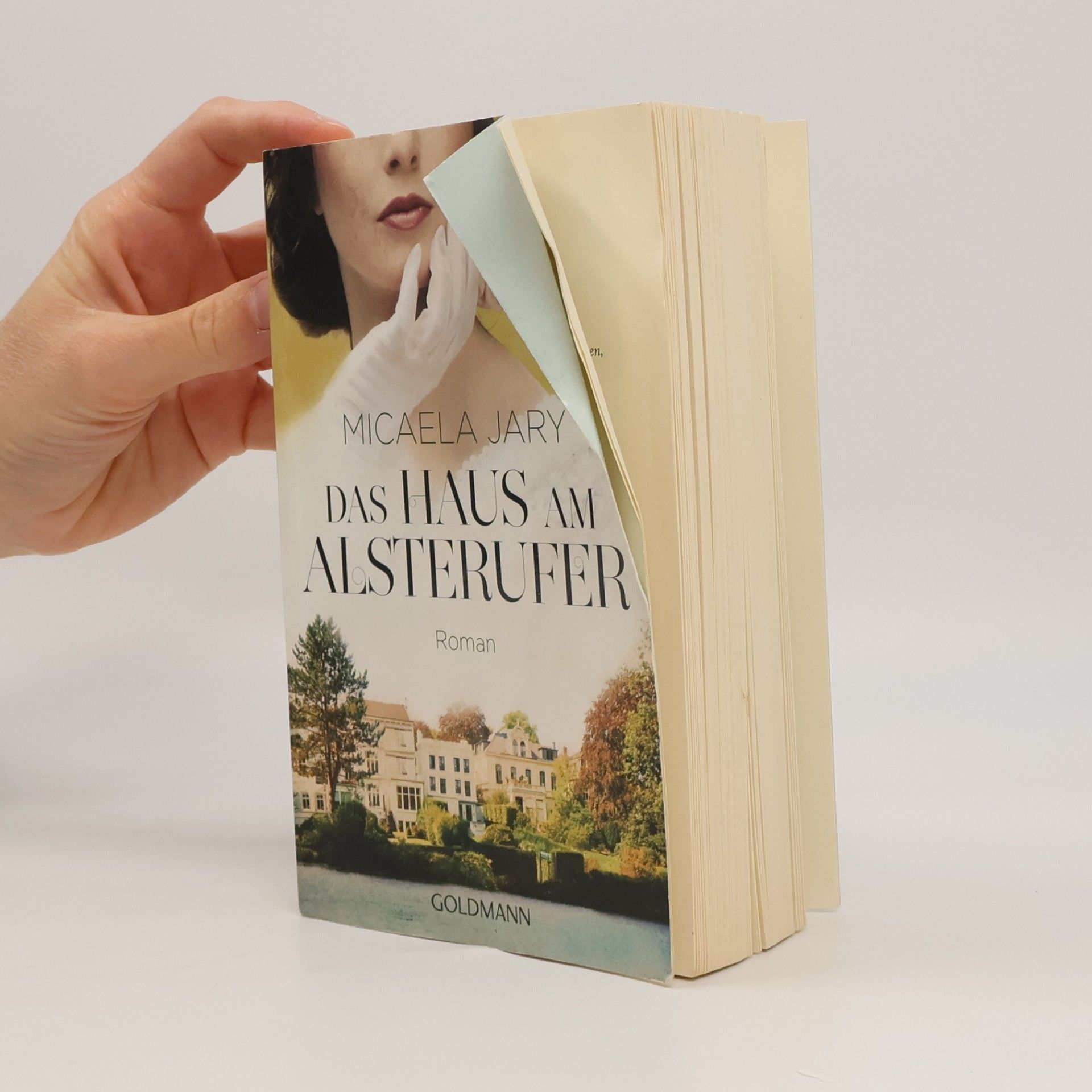 Michelle Marly Das Haus am Alsterufer
