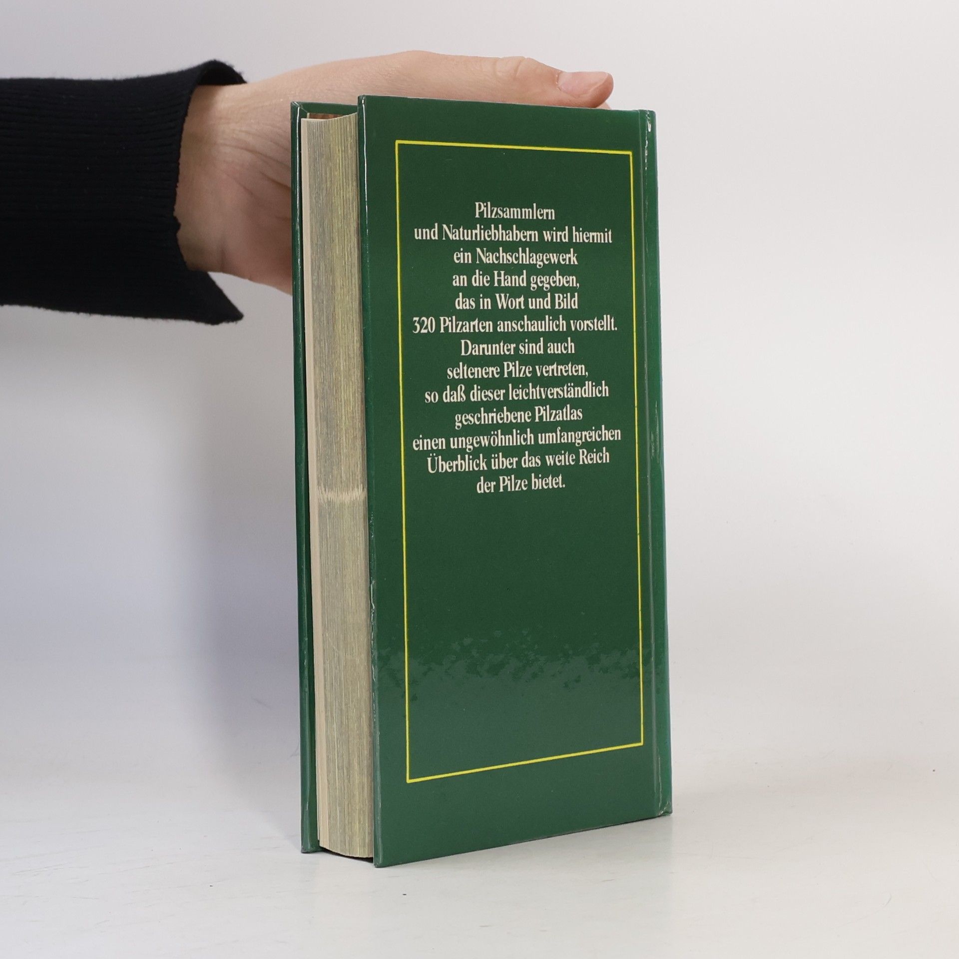 Autorenkollektiv Pilze unserer Heimat