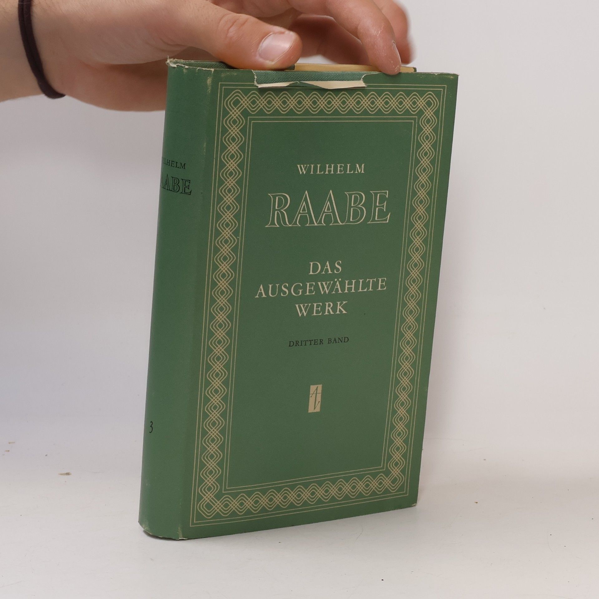 Wilhelm Raabe Das ausgewählte Werk 3