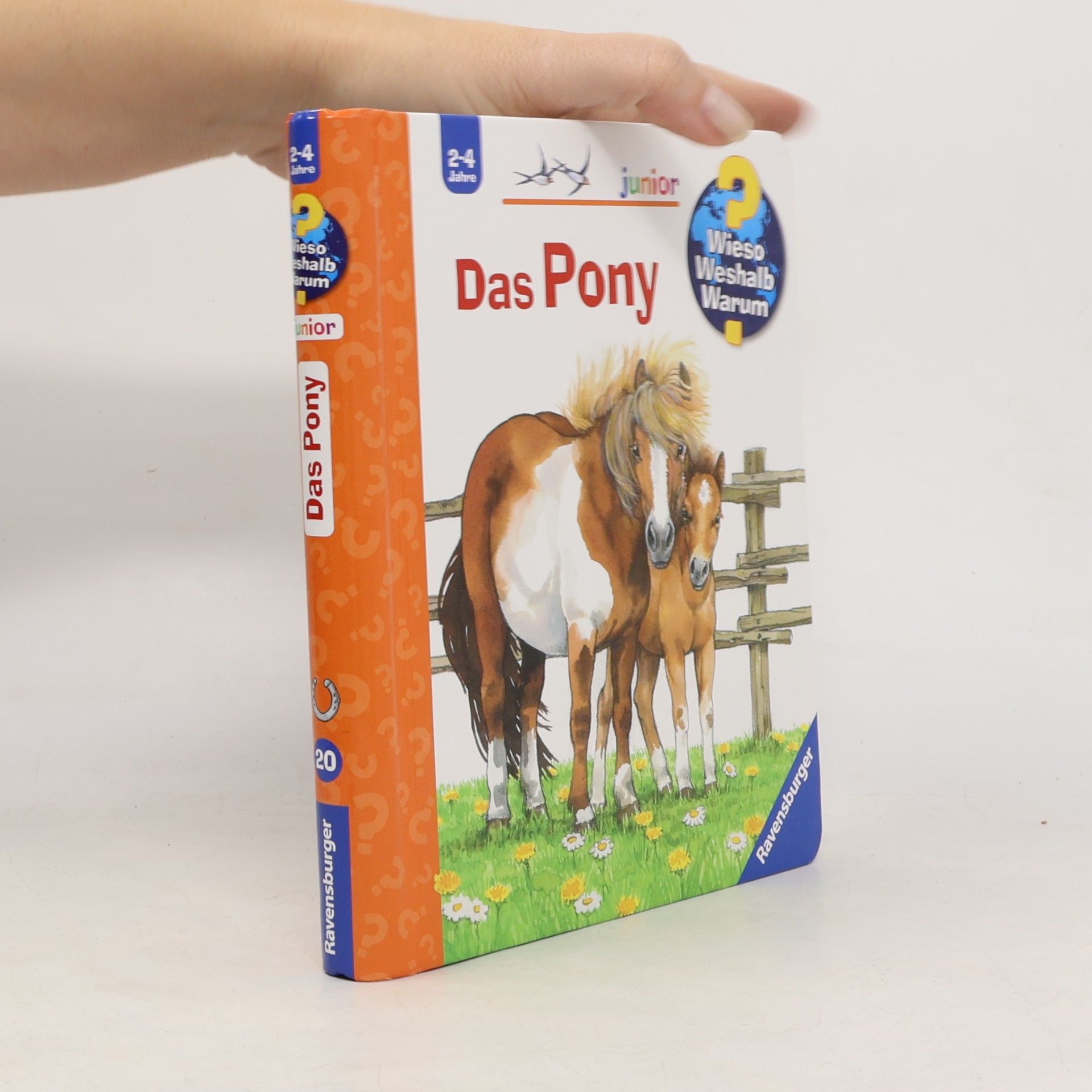 Das Pony