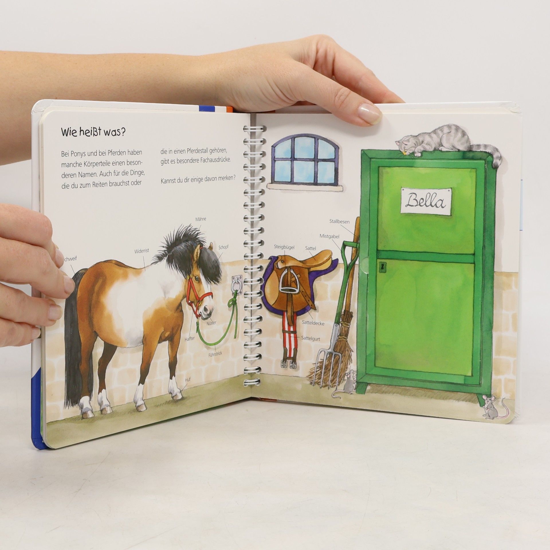 Thea Roß Das Pony