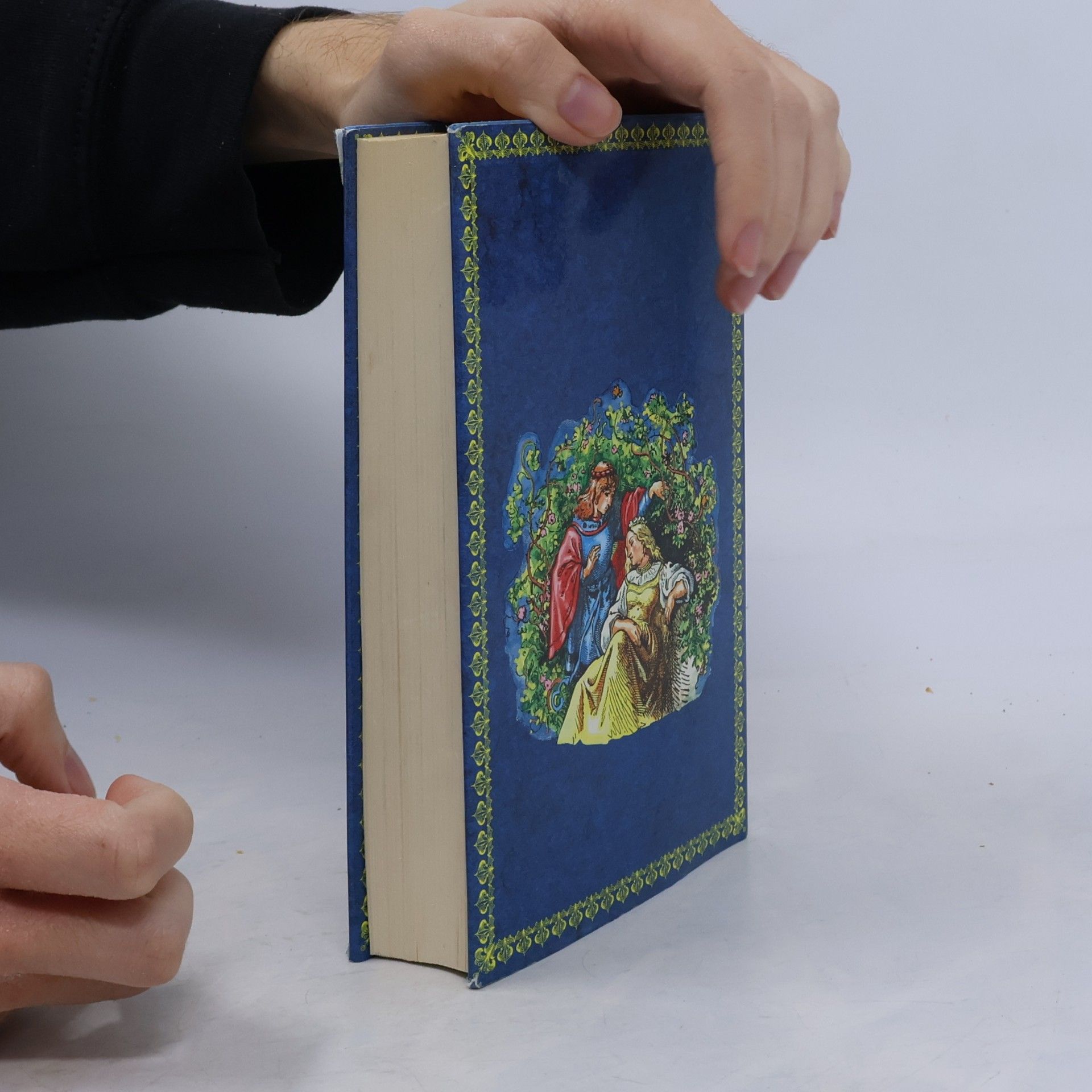 Jacob Grimm Die schönsten Kindermärchen und Hausmärchen. Band 2