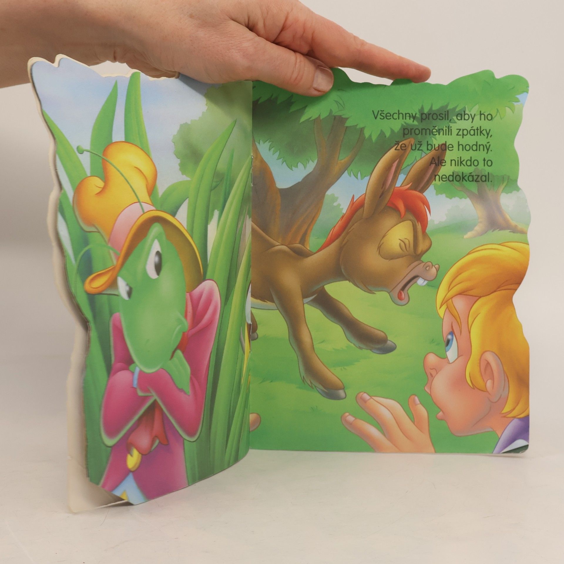 Kolektiv autorů Pinocchio