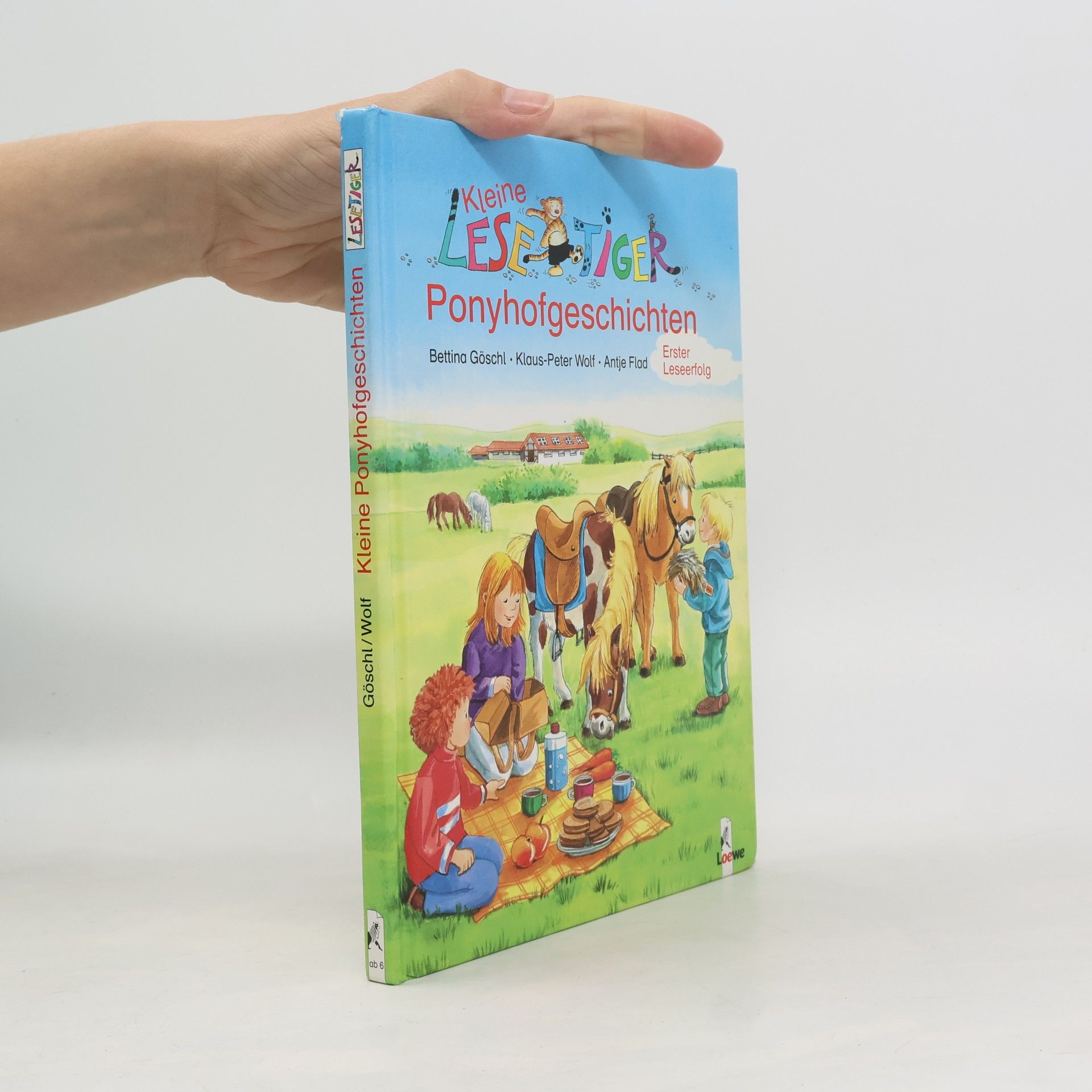 Kleine Lesetiger-Ponyhofgeschichten