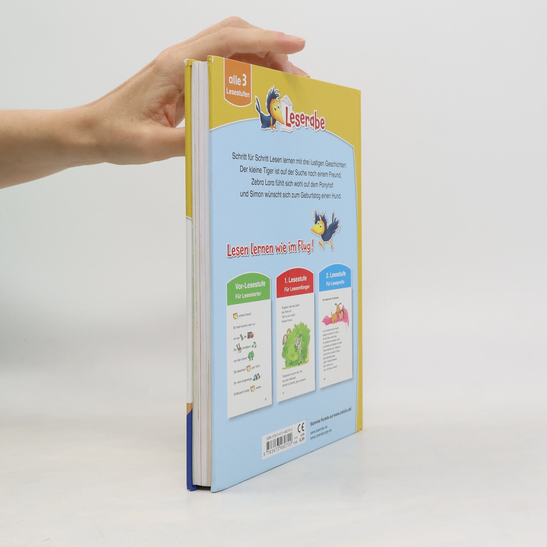 Silke Voigt Das große Leserabe Leselernbuch: Tiergeschichten - Leserabe ab der 1. Klasse - Erstlesebuch für Kinder ab 5 Jahren