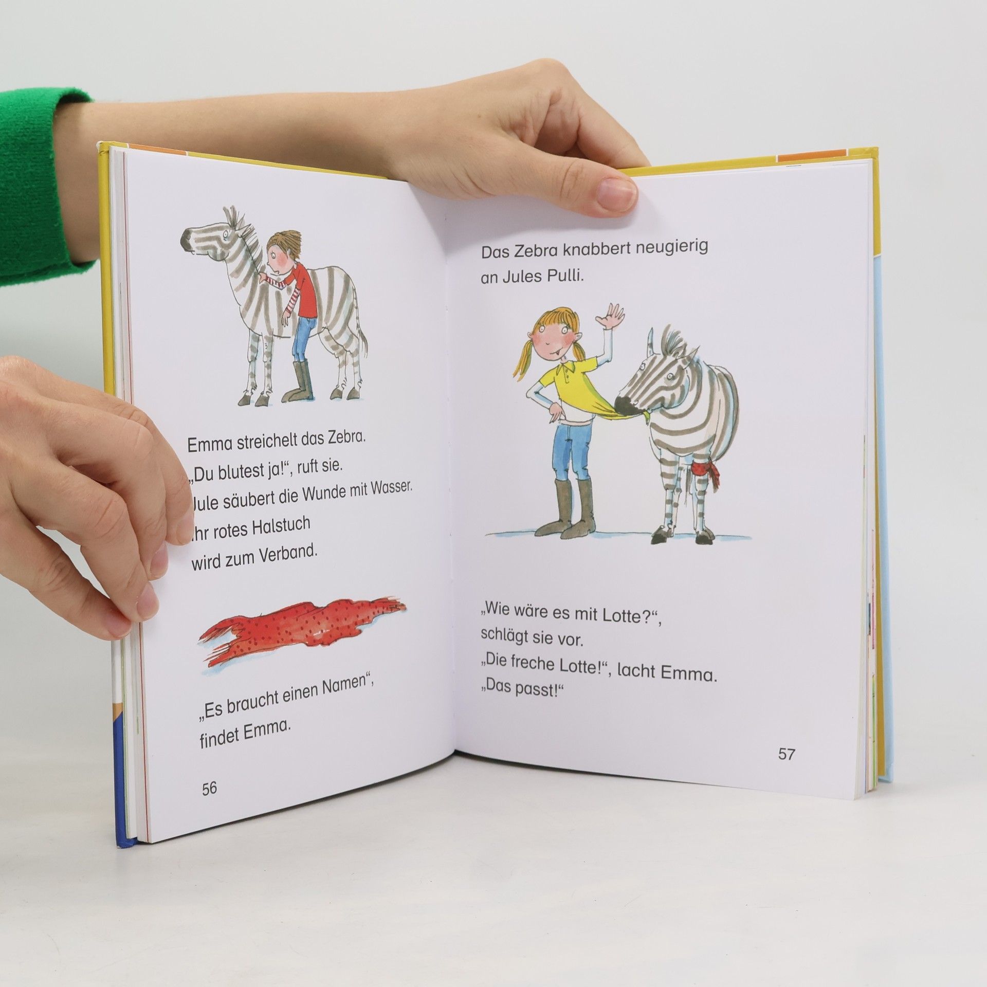 Silke Voigt Das große Leserabe Leselernbuch: Tiergeschichten - Leserabe ab der 1. Klasse - Erstlesebuch für Kinder ab 5 Jahren